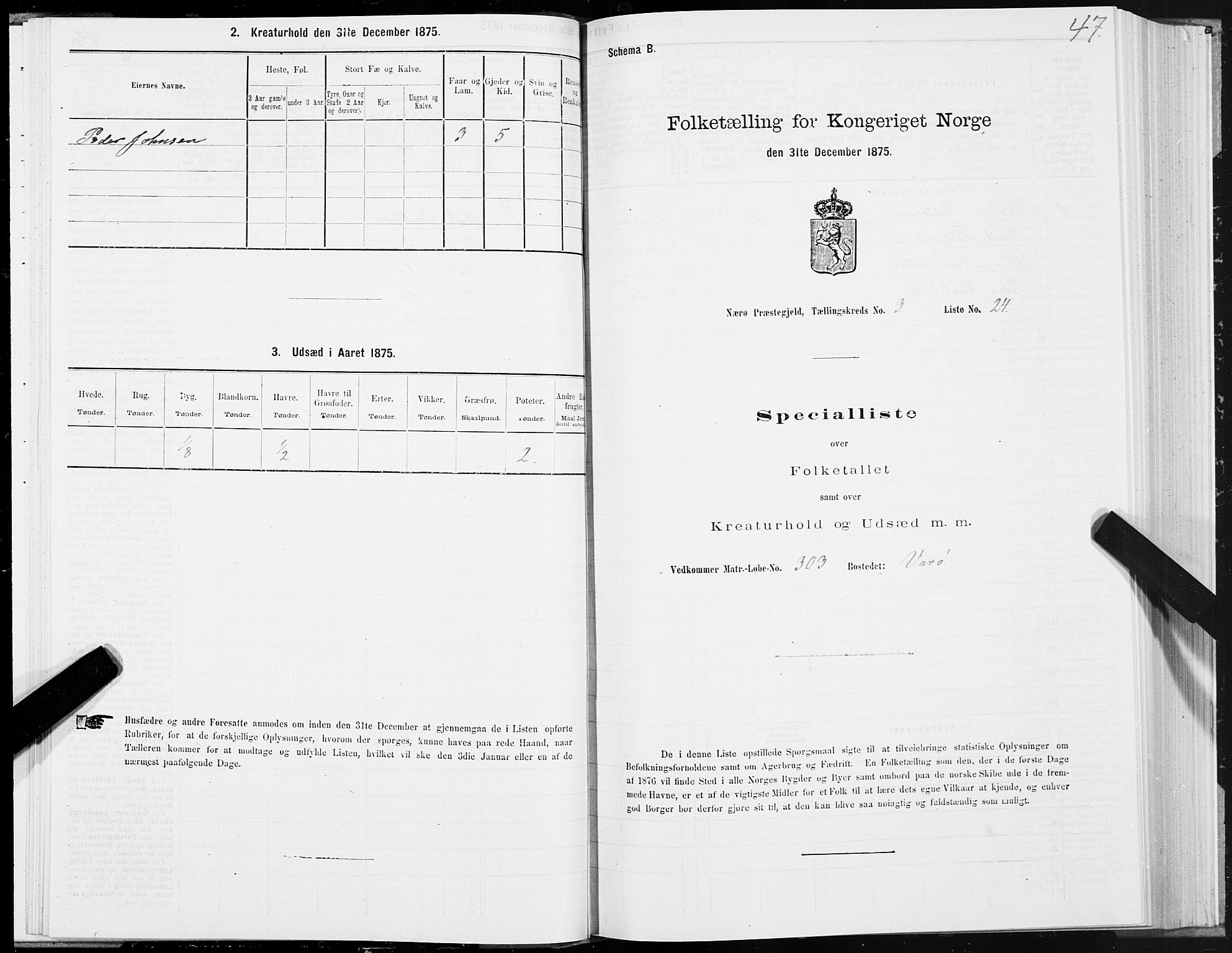 SAT, Folketelling 1875 for 1751P Nærøy prestegjeld, 1875, s. 2047