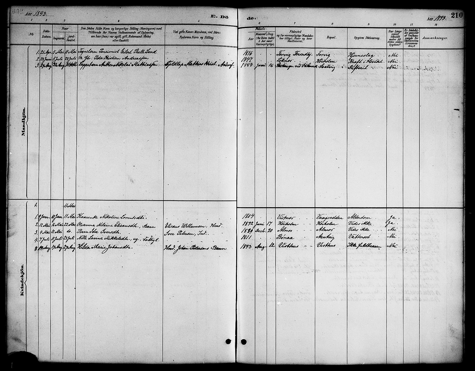 Ministerialprotokoller, klokkerbøker og fødselsregistre - Nordland, SAT/A-1459/819/L0277: Klokkerbok nr. 819C03, 1888-1917, s. 210