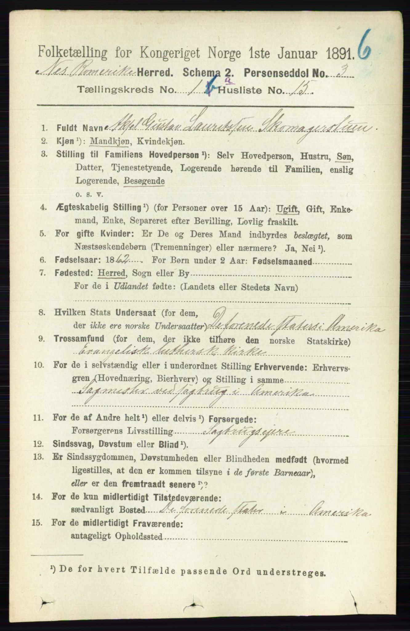 RA, Folketelling 1891 for 0236 Nes herred, 1891, s. 207