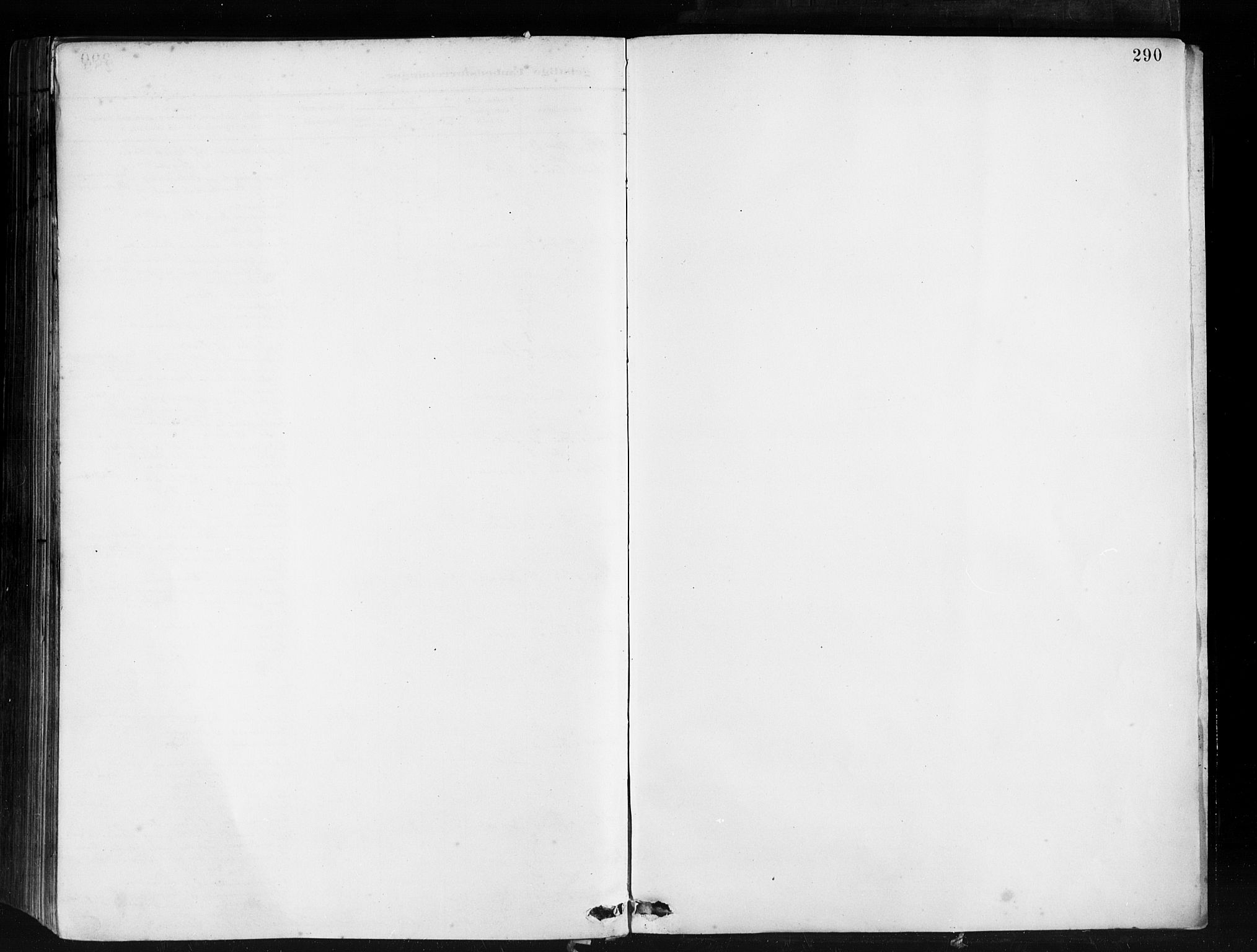 Ministerialprotokoller, klokkerbøker og fødselsregistre - Møre og Romsdal, AV/SAT-A-1454/501/L0008: Ministerialbok nr. 501A08, 1885-1901, s. 290