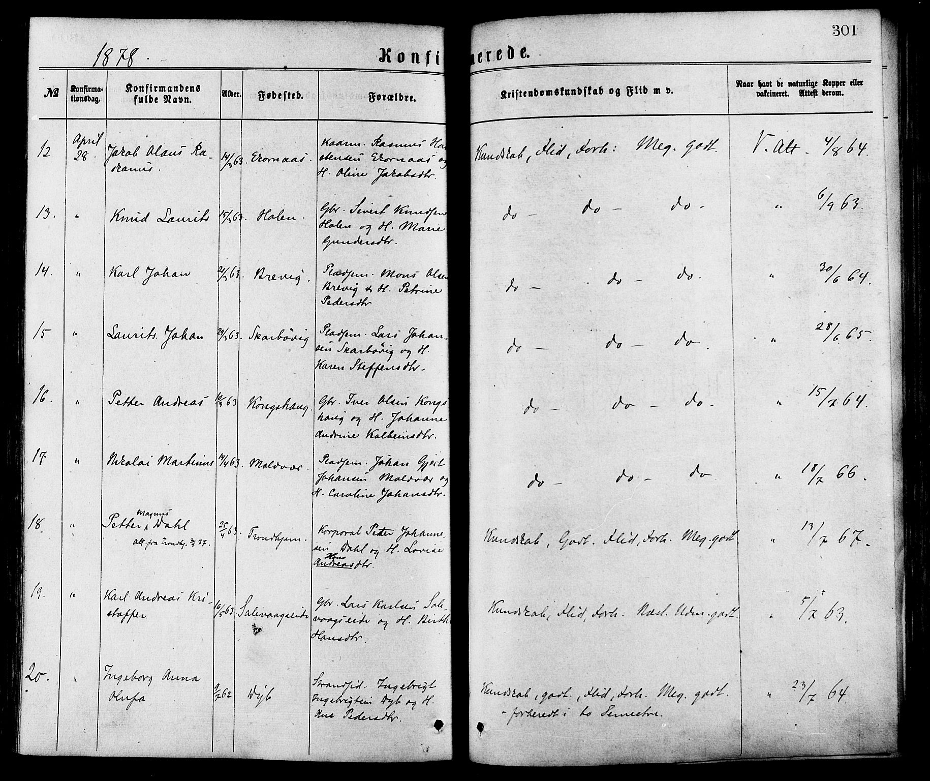 Ministerialprotokoller, klokkerbøker og fødselsregistre - Møre og Romsdal, AV/SAT-A-1454/528/L0400: Ministerialbok nr. 528A11, 1871-1879, s. 301