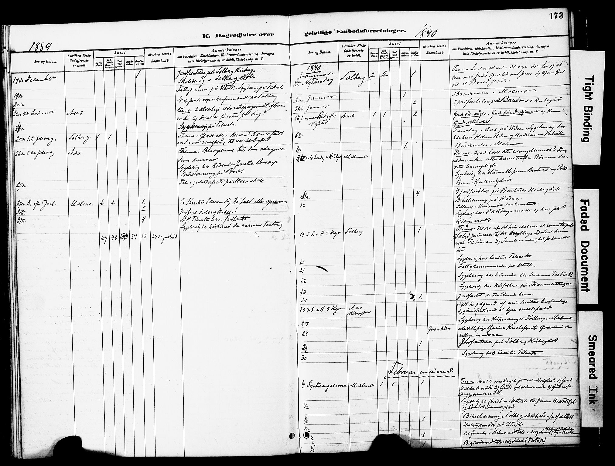 Ministerialprotokoller, klokkerbøker og fødselsregistre - Nord-Trøndelag, AV/SAT-A-1458/741/L0396: Ministerialbok nr. 741A10, 1889-1901, s. 173