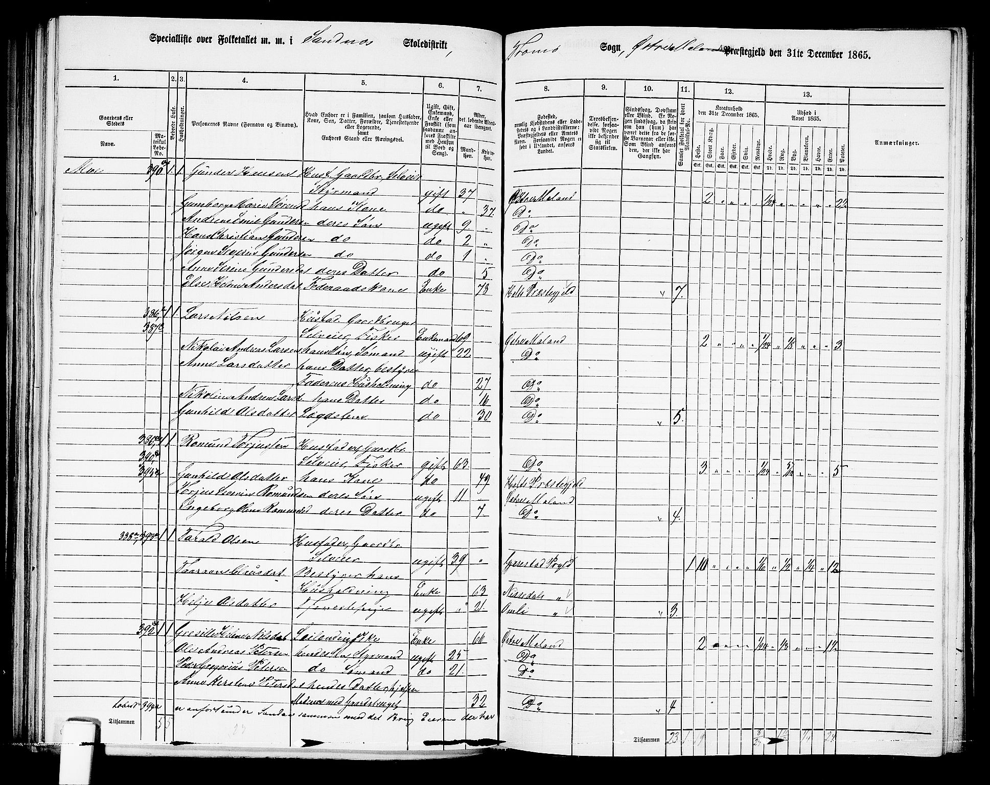 RA, Folketelling 1865 for 0918P Austre Moland prestegjeld, 1865, s. 209