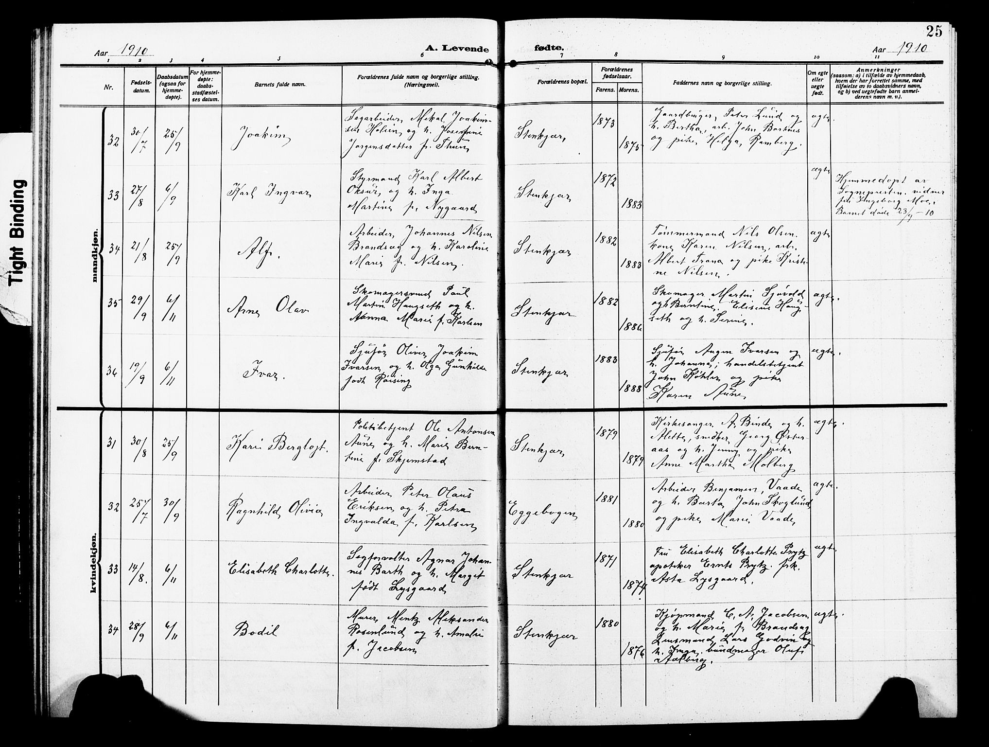 Ministerialprotokoller, klokkerbøker og fødselsregistre - Nord-Trøndelag, AV/SAT-A-1458/739/L0376: Klokkerbok nr. 739C04, 1908-1917, s. 25