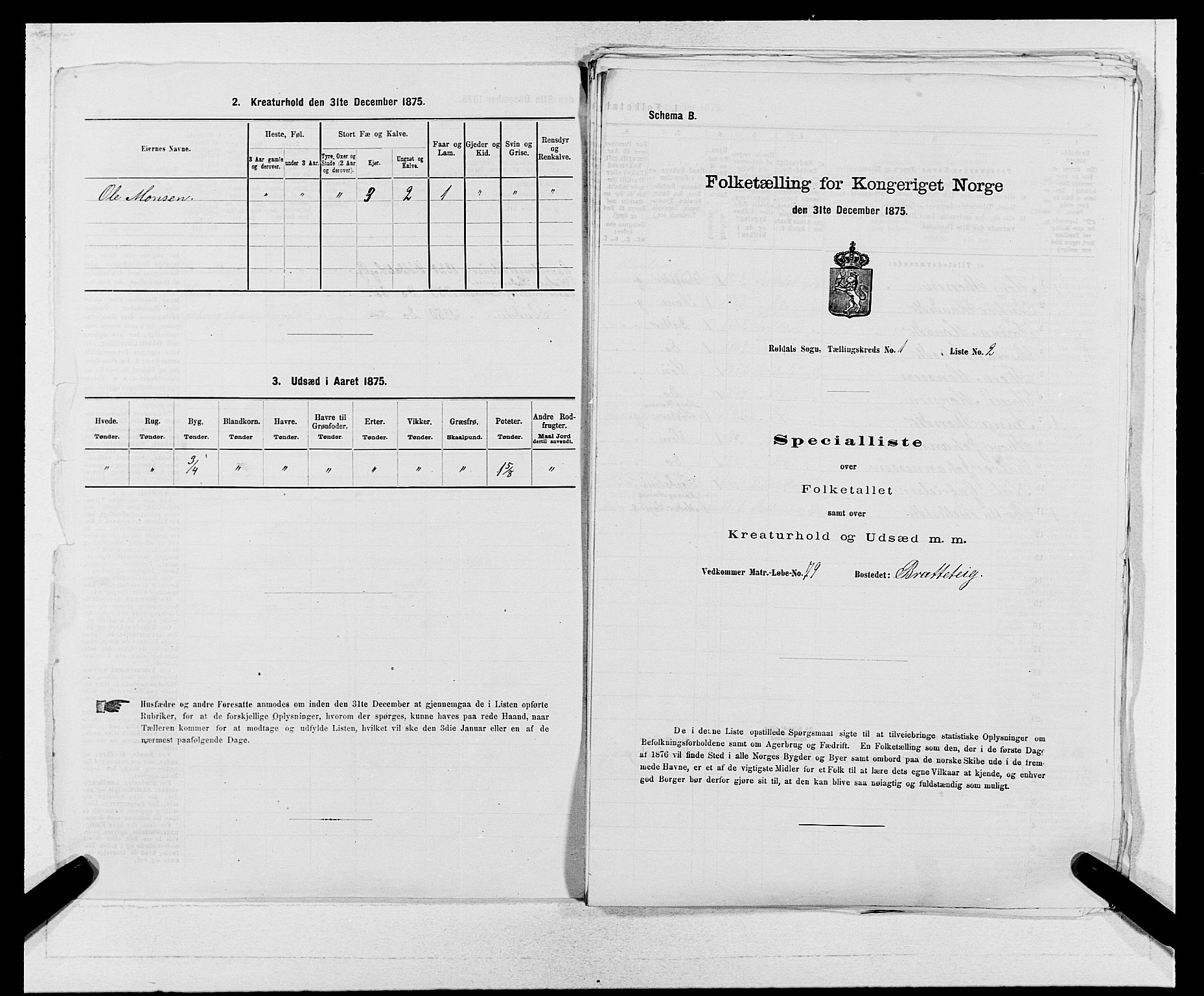 SAB, Folketelling 1875 for 1229P Røldal prestegjeld, 1875, s. 13