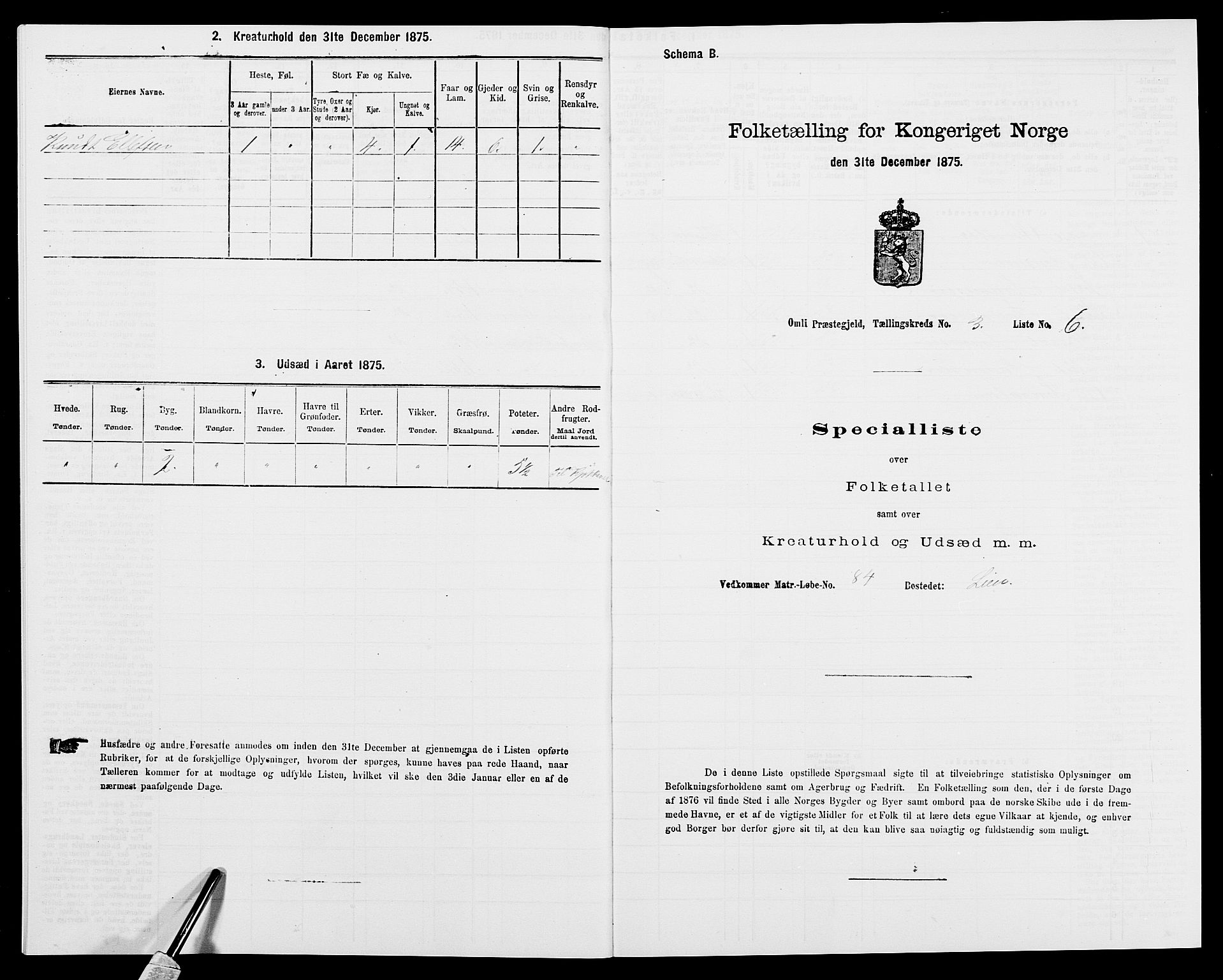 SAK, Folketelling 1875 for 0929P Åmli prestegjeld, 1875, s. 187