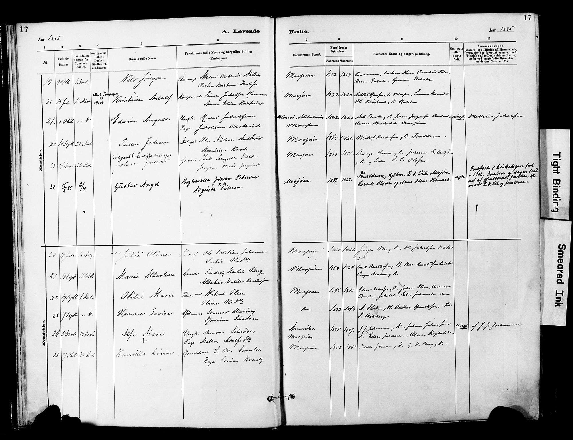 Ministerialprotokoller, klokkerbøker og fødselsregistre - Nordland, AV/SAT-A-1459/820/L0296: Ministerialbok nr. 820A17, 1880-1903, s. 17