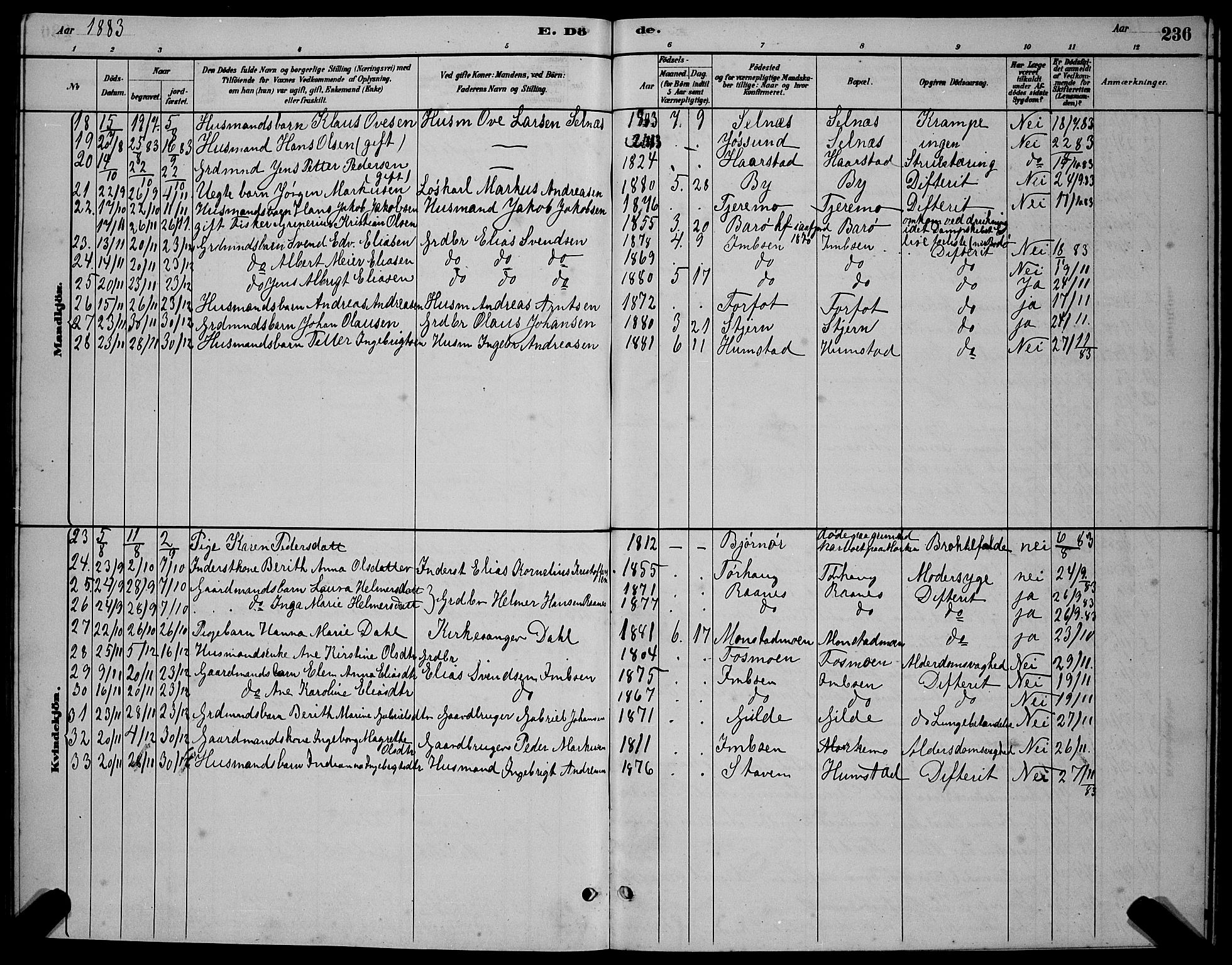 Ministerialprotokoller, klokkerbøker og fødselsregistre - Sør-Trøndelag, SAT/A-1456/655/L0687: Klokkerbok nr. 655C03, 1880-1898, s. 236