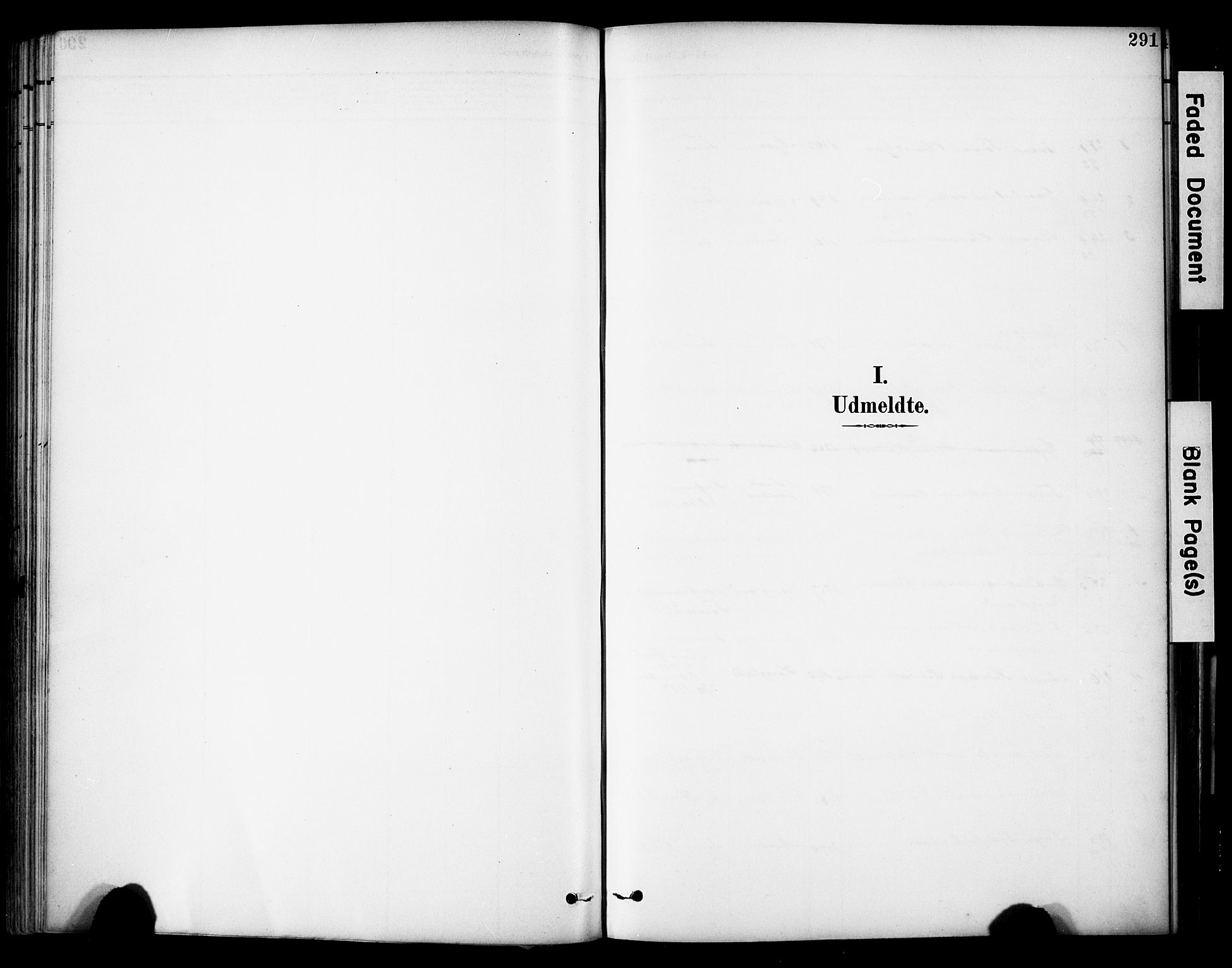 Lye sokneprestkontor, AV/SAST-A-101794/001/30BA/L0011: Ministerialbok nr. A 9, 1893-1903, s. 291