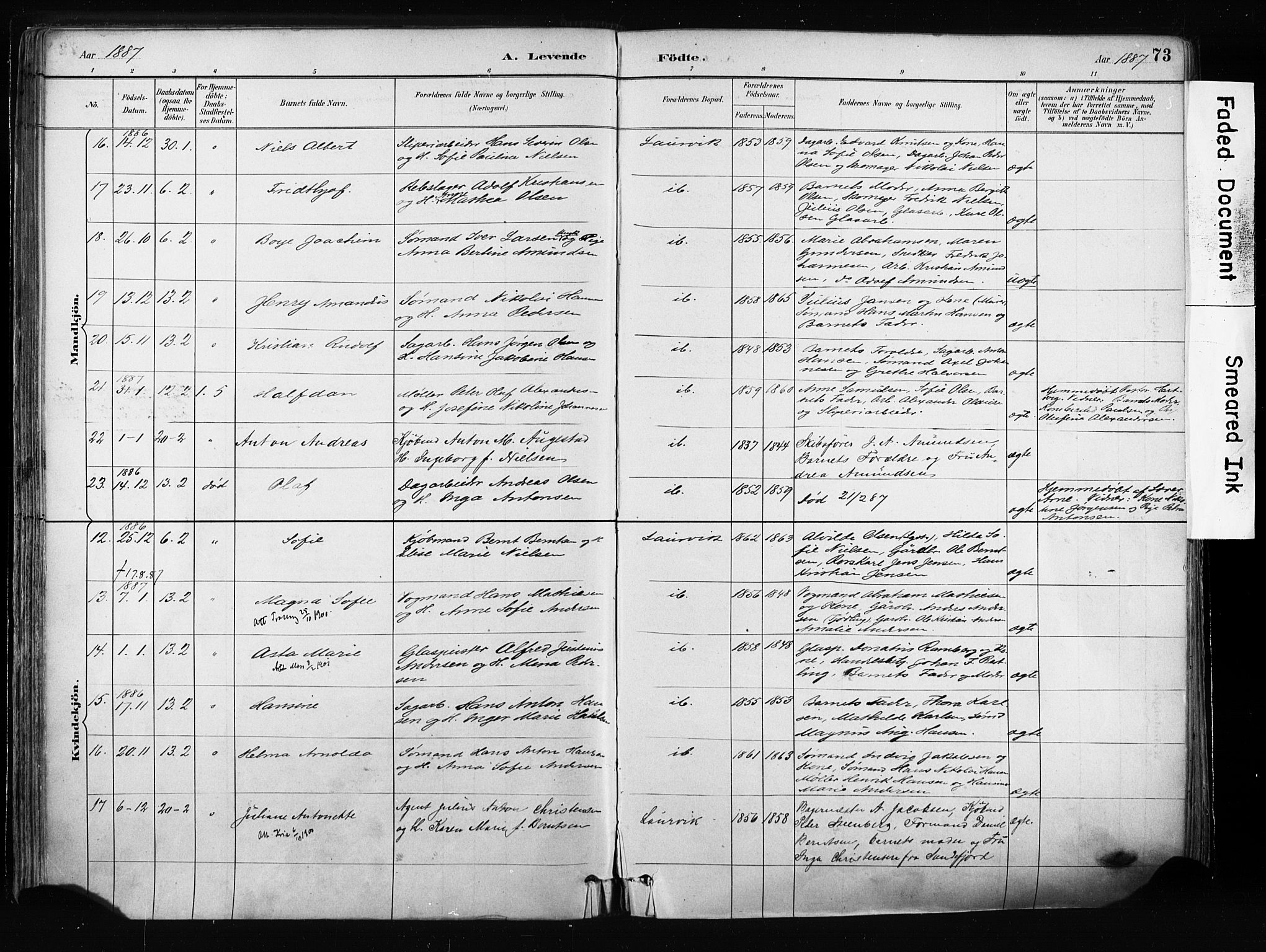 Larvik kirkebøker, AV/SAKO-A-352/F/Fa/L0009: Ministerialbok nr. I 9, 1884-1904, s. 73