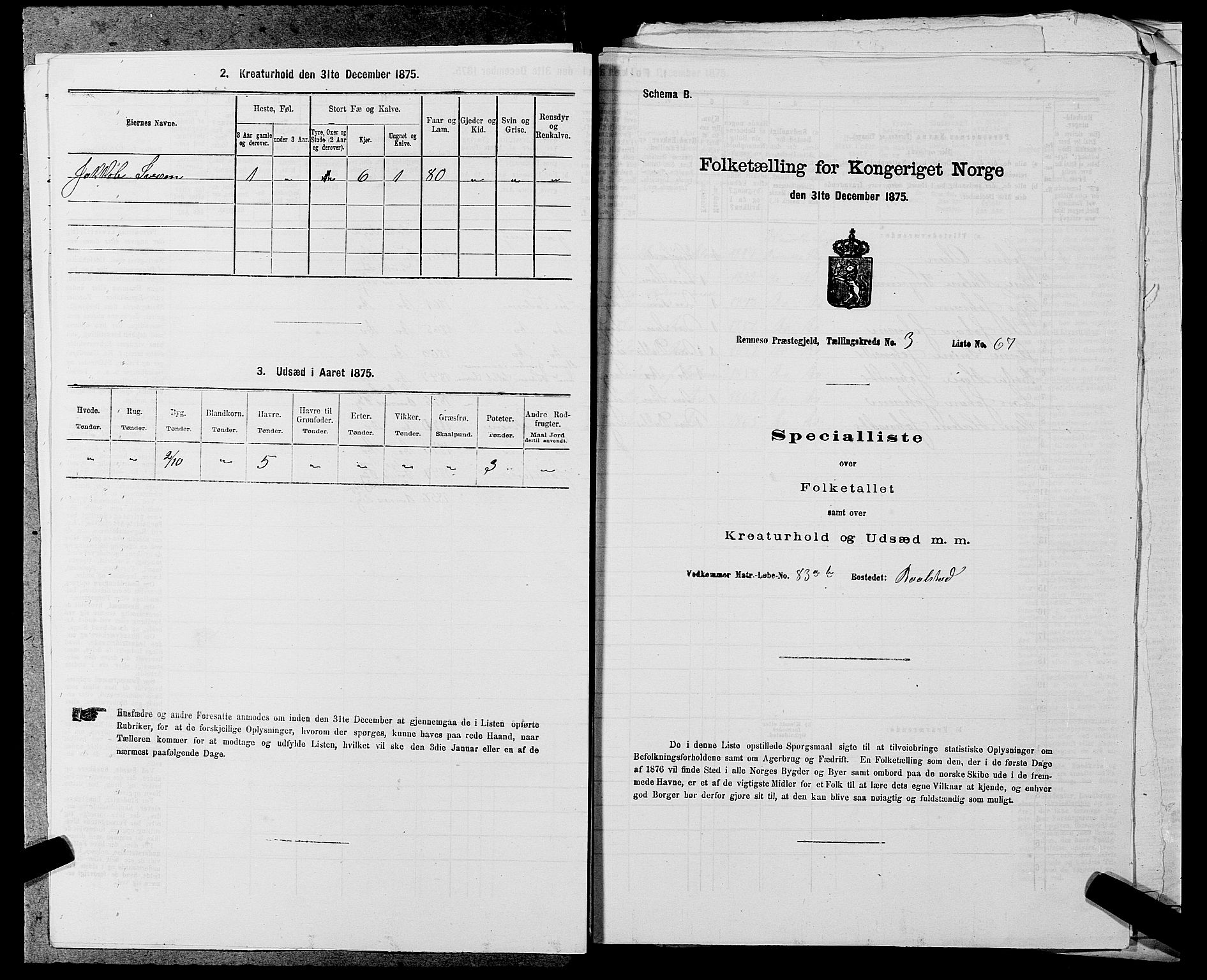 SAST, Folketelling 1875 for 1142P Rennesøy prestegjeld, 1875, s. 419