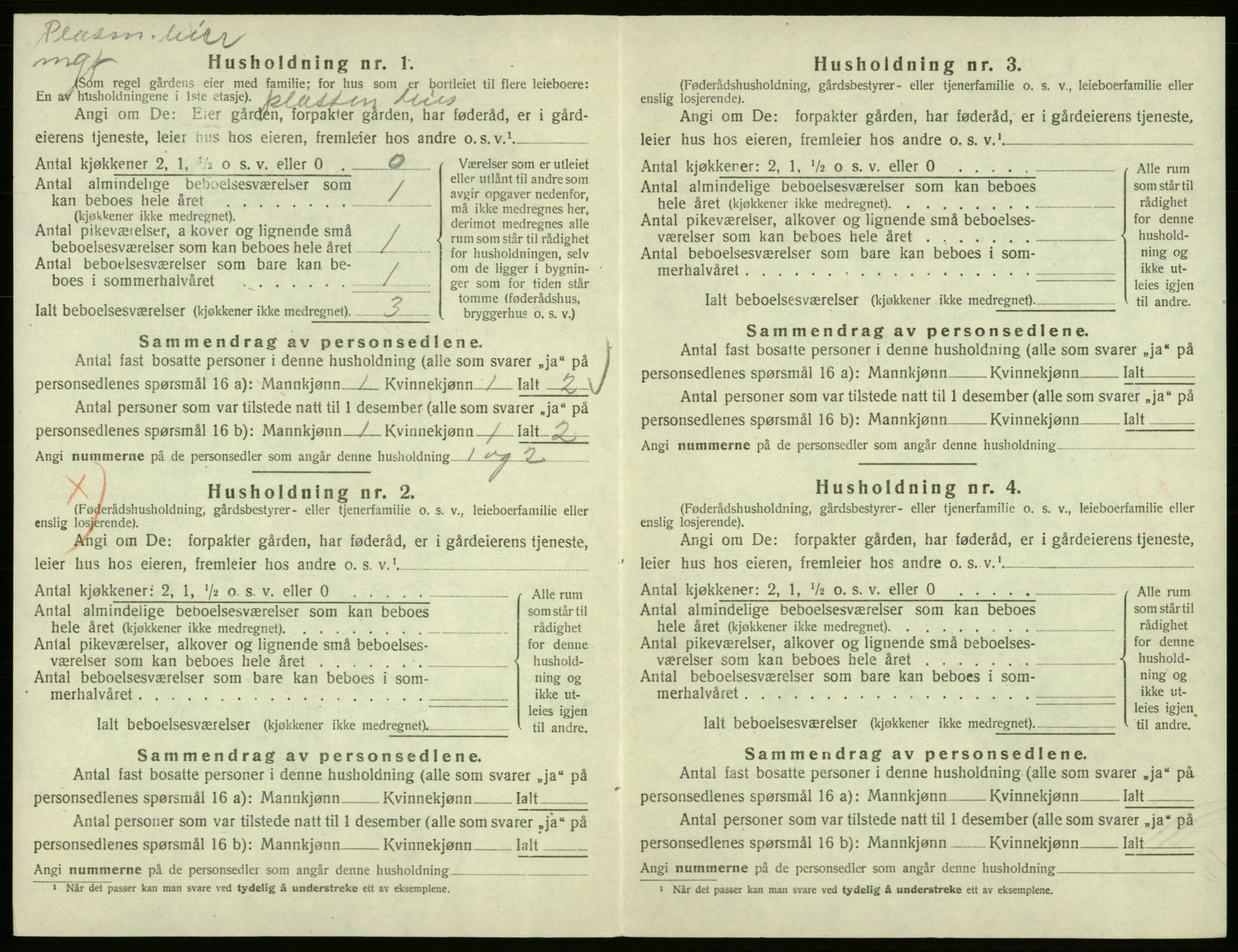 SAB, Folketelling 1920 for 1239 Hålandsdal herred, 1920, s. 133