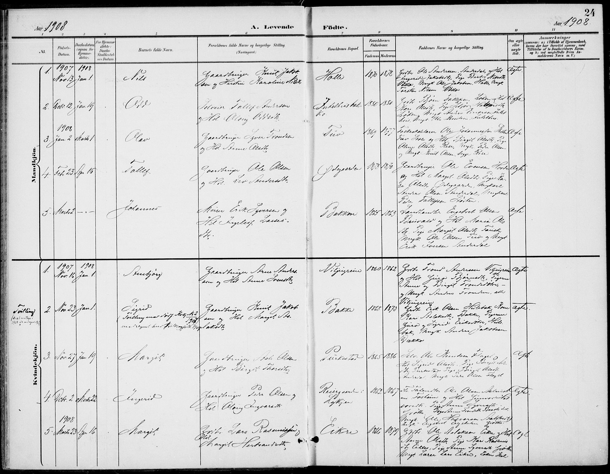 Gol kirkebøker, AV/SAKO-A-226/F/Fb/L0002: Ministerialbok nr. II 2, 1900-1921, s. 24