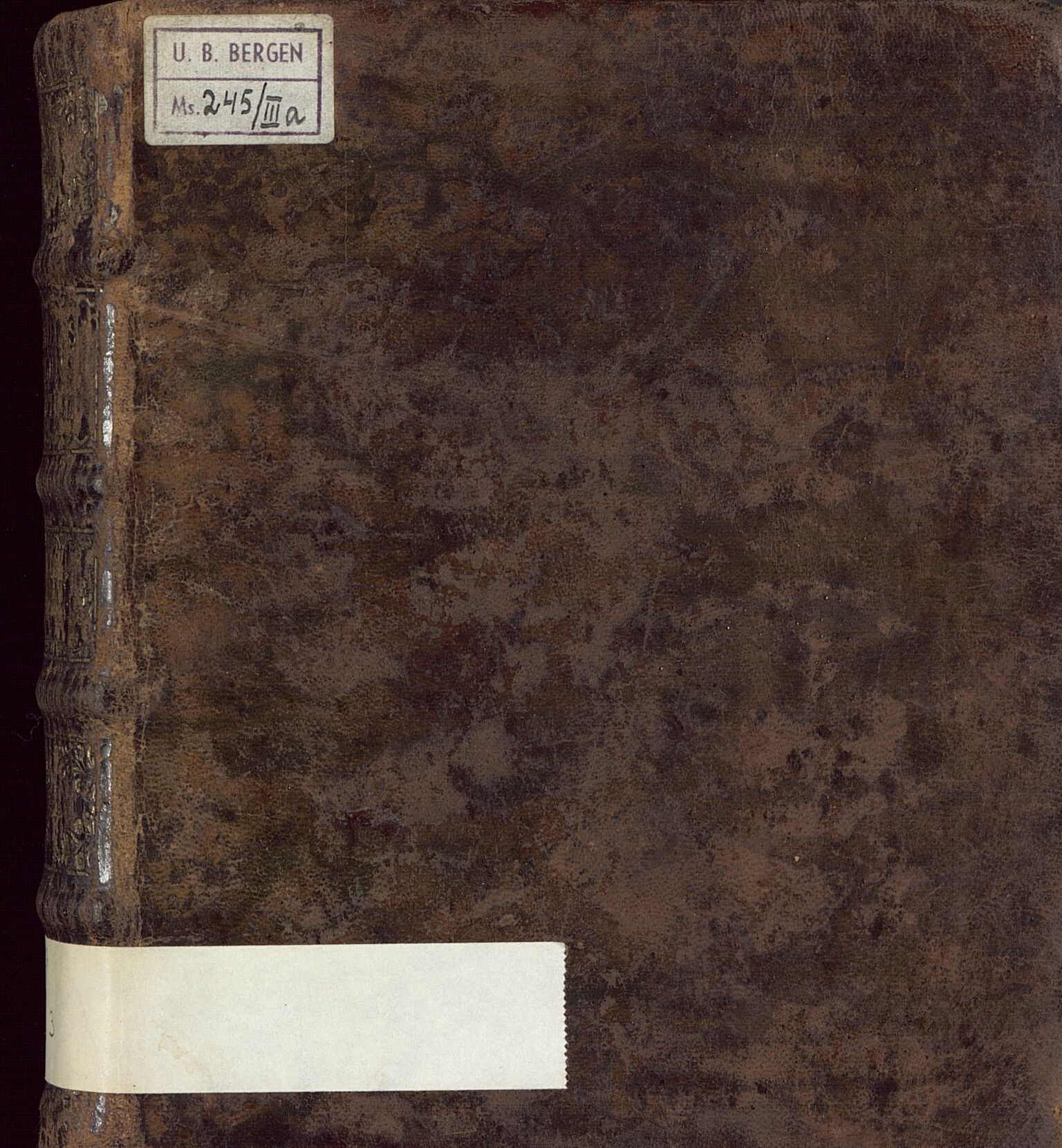 De eligerte menn, BBA/A-0527/I/Ia/L0003: Meyers avskrift av Edvard Edvardsens Bergens Beskrivelse, 1674., 1774