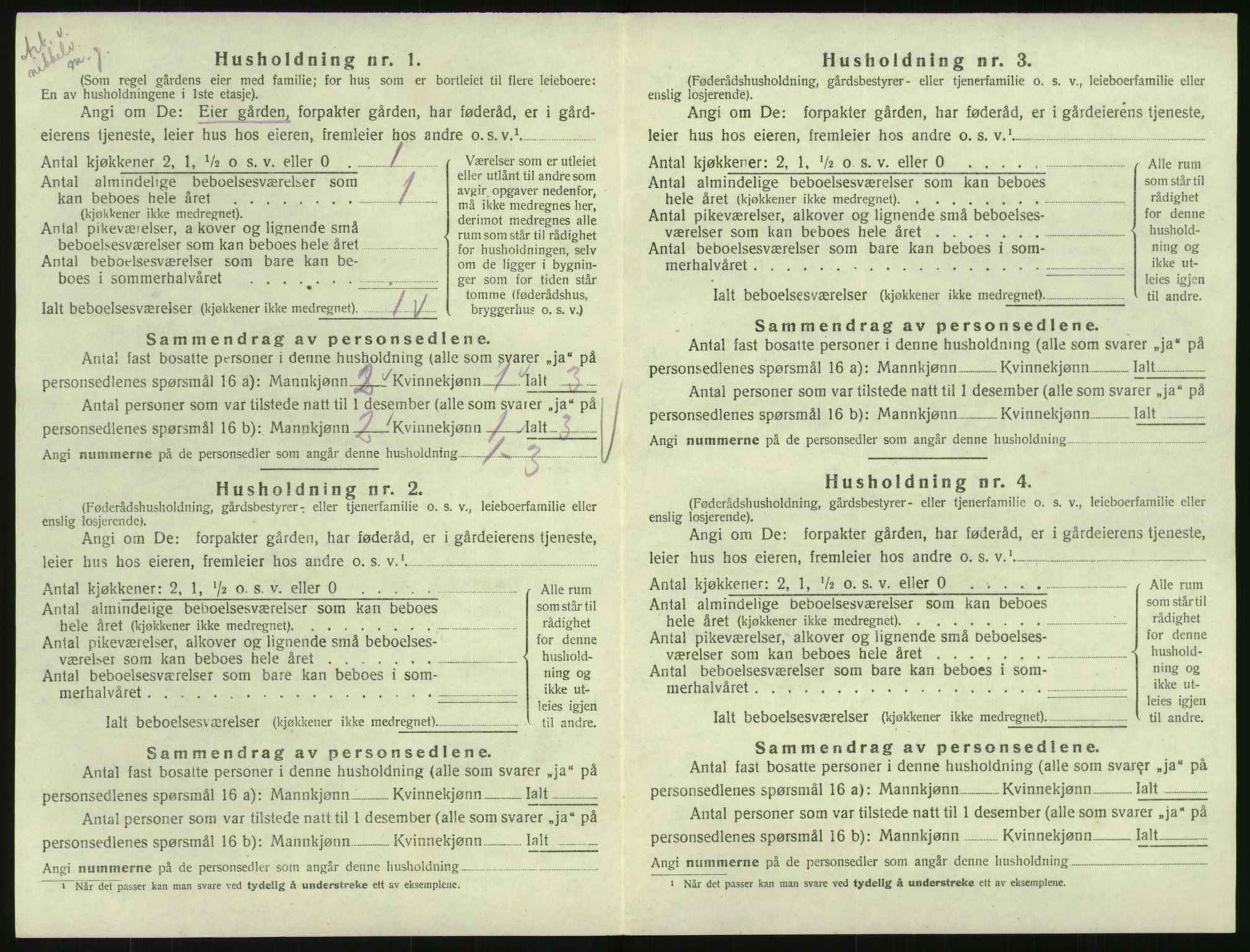 SAK, Folketelling 1920 for 0936 Hornnes herred, 1920, s. 160