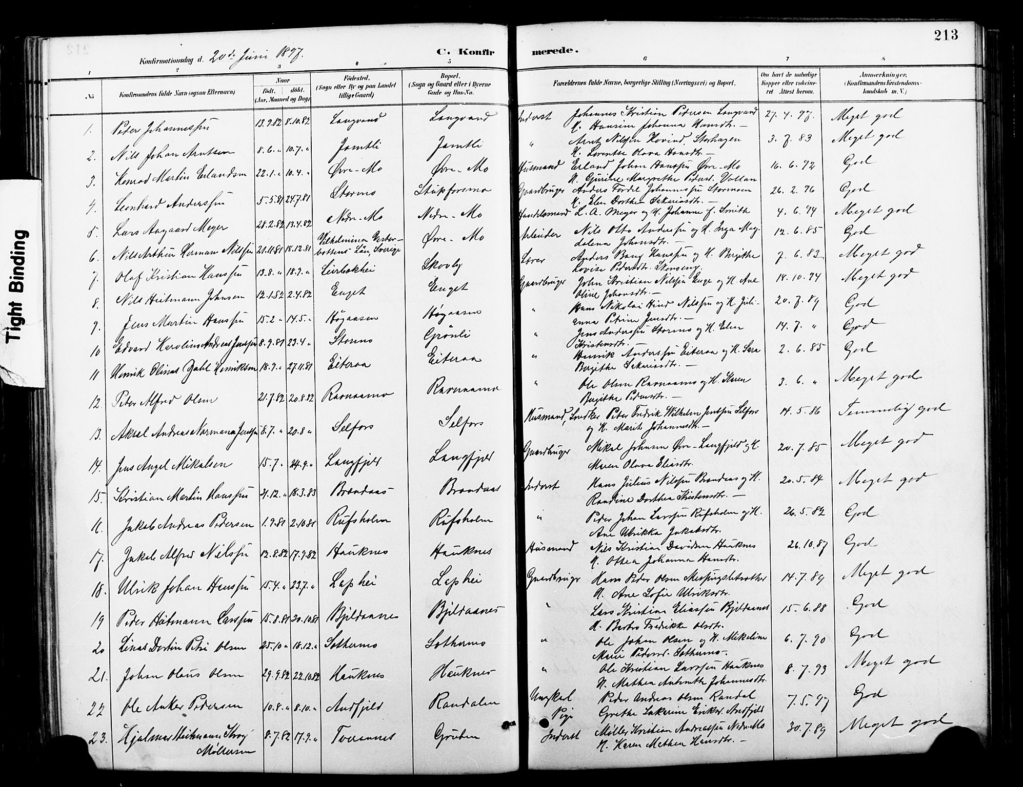Ministerialprotokoller, klokkerbøker og fødselsregistre - Nordland, AV/SAT-A-1459/827/L0421: Klokkerbok nr. 827C10, 1887-1906, s. 213