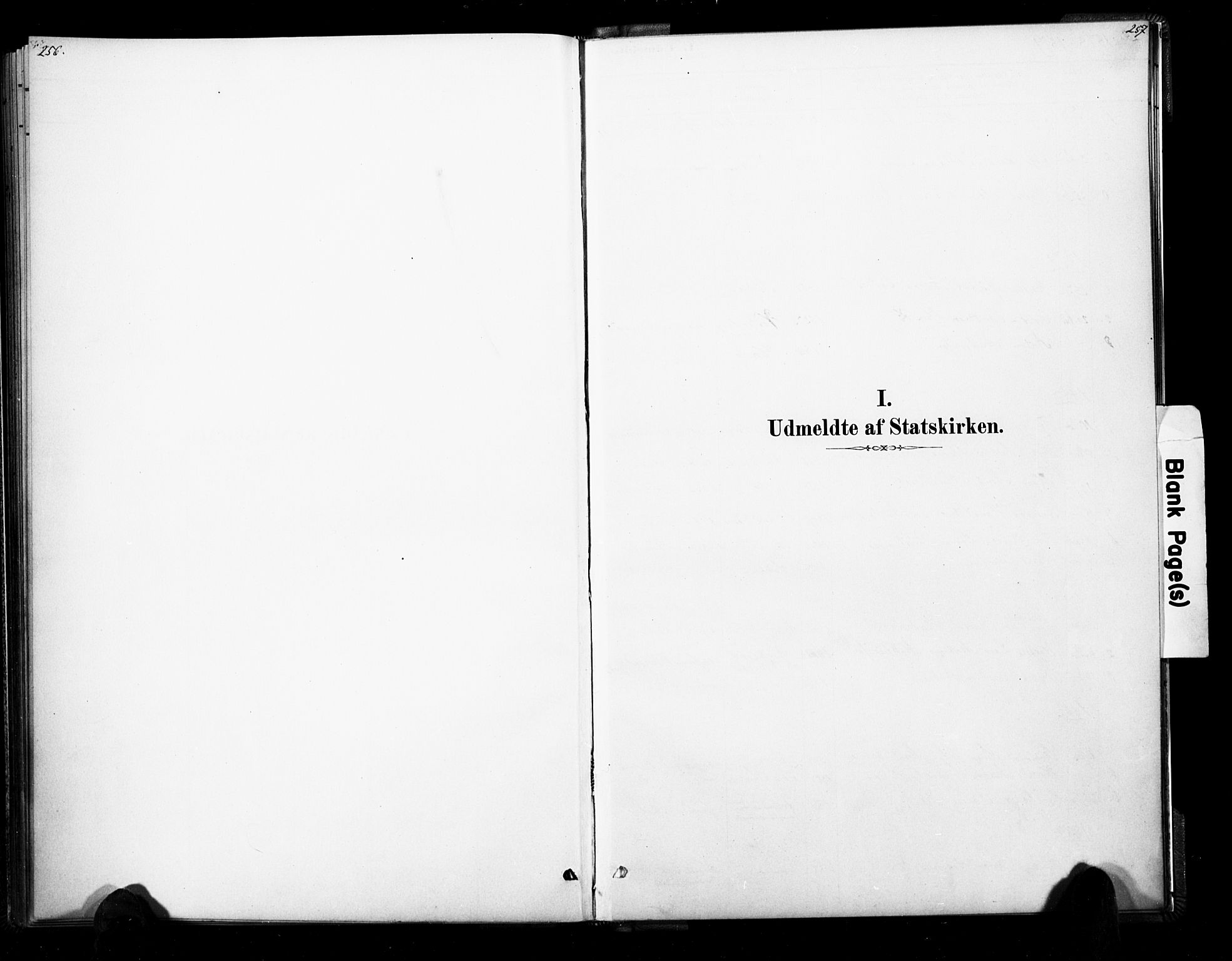 Ramnes kirkebøker, SAKO/A-314/F/Fb/L0001: Ministerialbok nr. II 1, 1878-1894, s. 256-257