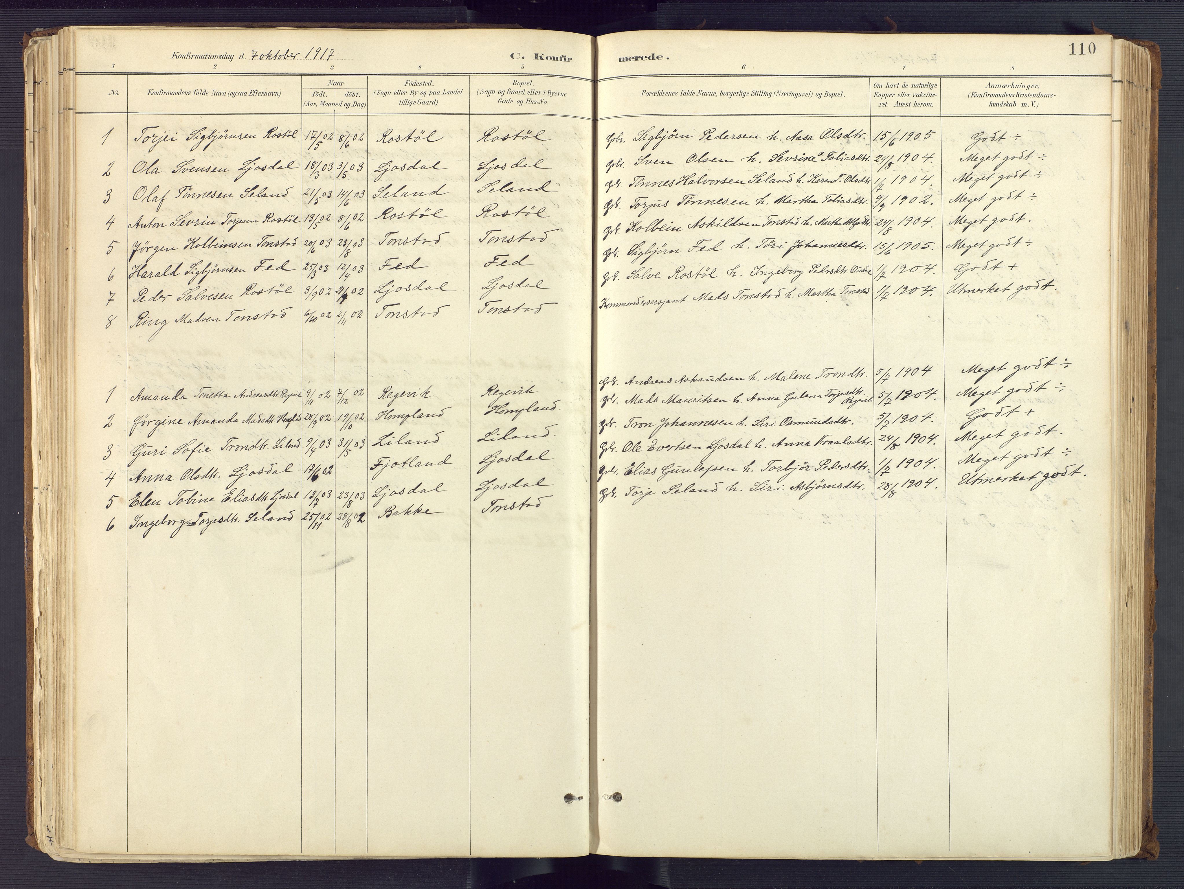 Sirdal sokneprestkontor, AV/SAK-1111-0036/F/Fa/Fab/L0004: Ministerialbok nr. A 4, 1887-1919, s. 110
