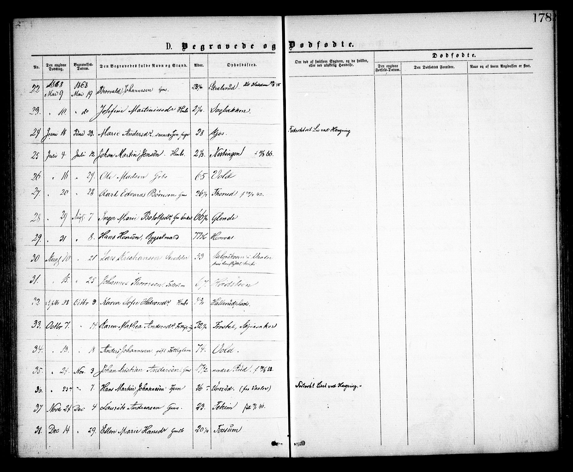 Spydeberg prestekontor Kirkebøker, SAO/A-10924/F/Fa/L0006: Ministerialbok nr. I 6, 1863-1874, s. 178