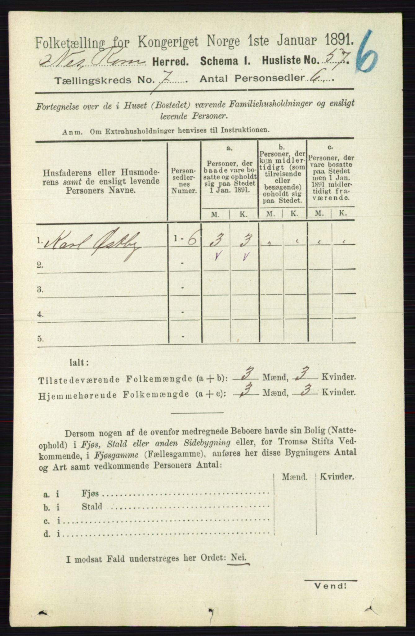 RA, Folketelling 1891 for 0236 Nes herred, 1891, s. 4001