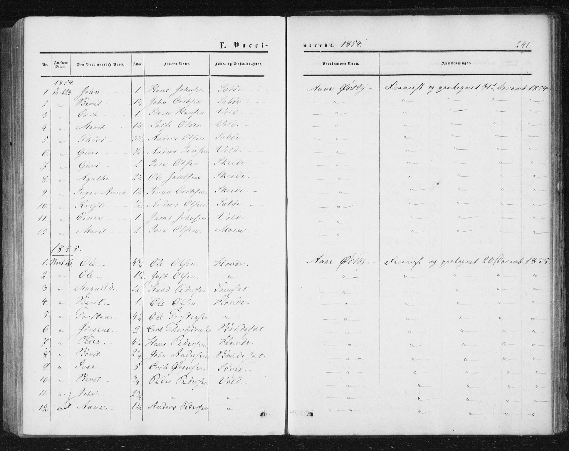 Ministerialprotokoller, klokkerbøker og fødselsregistre - Møre og Romsdal, AV/SAT-A-1454/543/L0562: Ministerialbok nr. 543A02, 1854-1884, s. 241