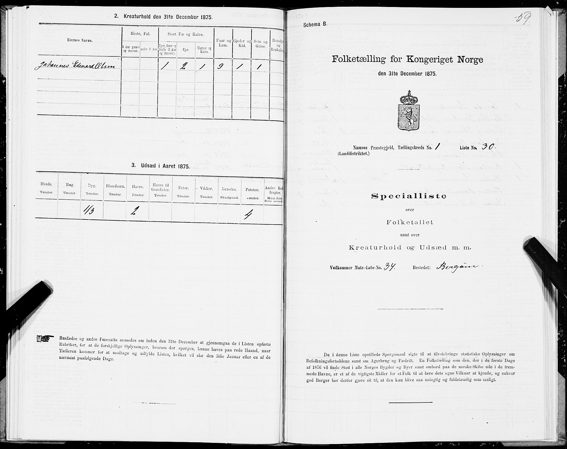 SAT, Folketelling 1875 for 1745L Namsos prestegjeld, Vemundvik sokn og Sævik sokn, 1875, s. 1059