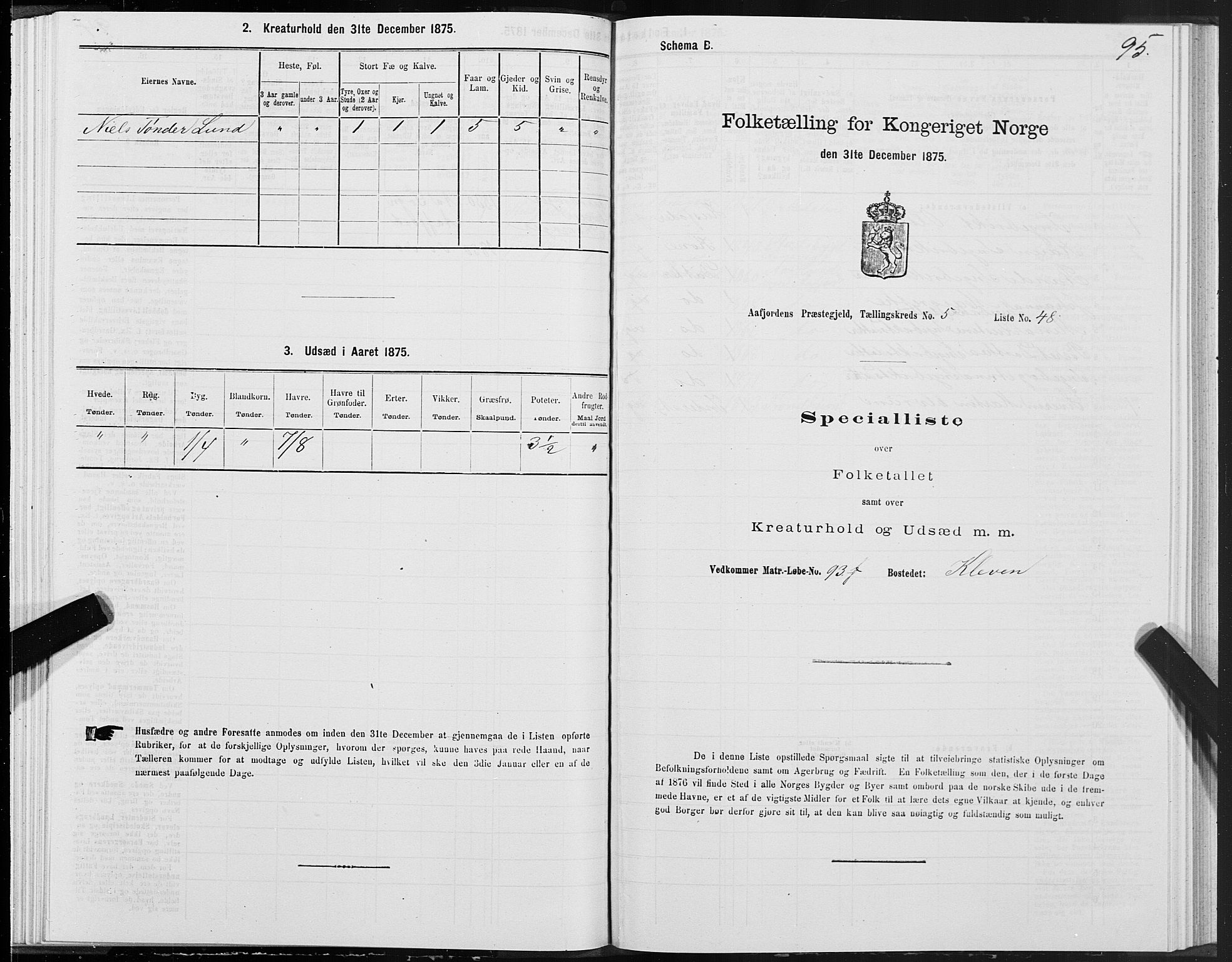 SAT, Folketelling 1875 for 1630P Aafjorden prestegjeld, 1875, s. 3095