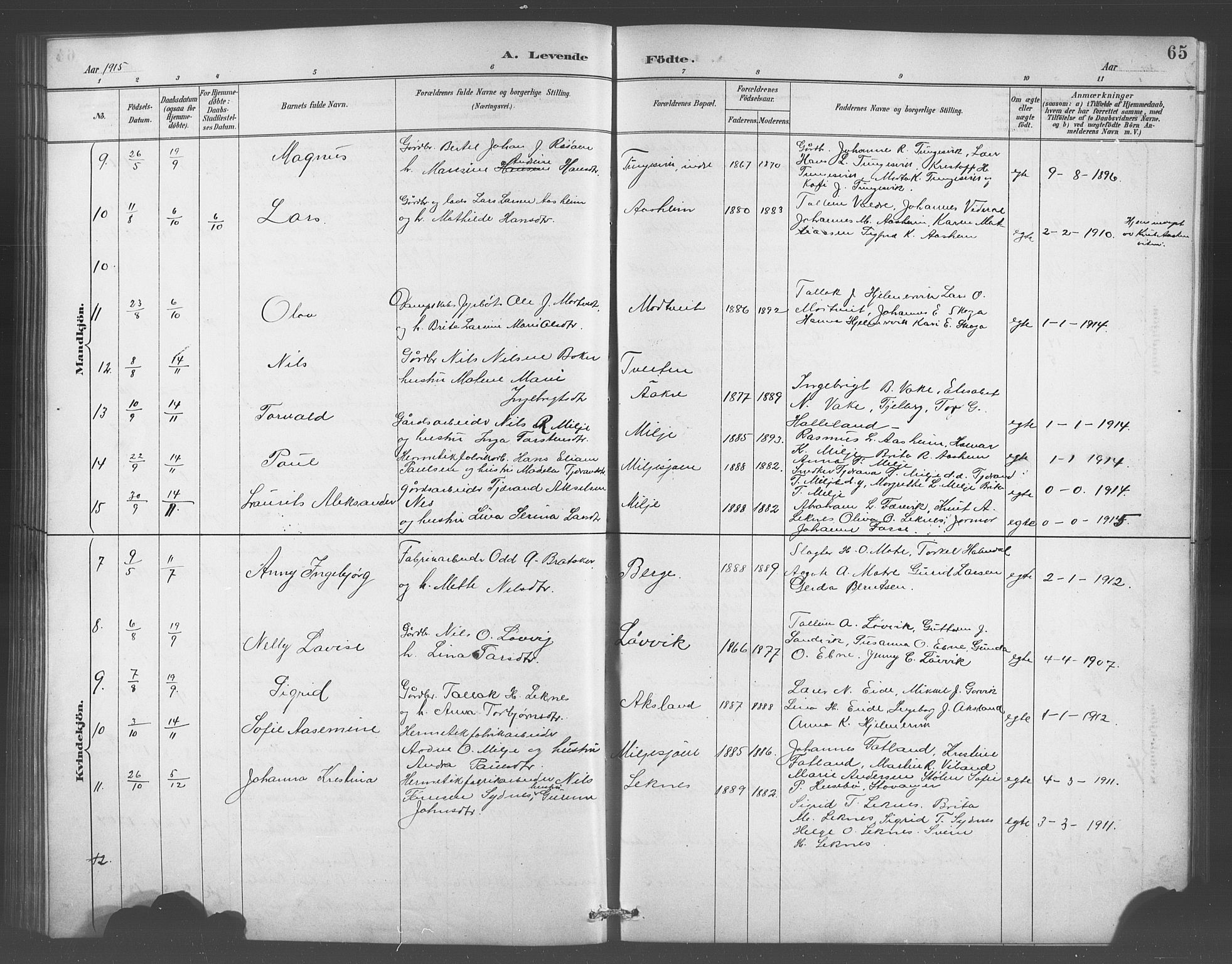 Skånevik sokneprestembete, AV/SAB-A-77801/H/Hab: Klokkerbok nr. A 2, 1888-1924, s. 65