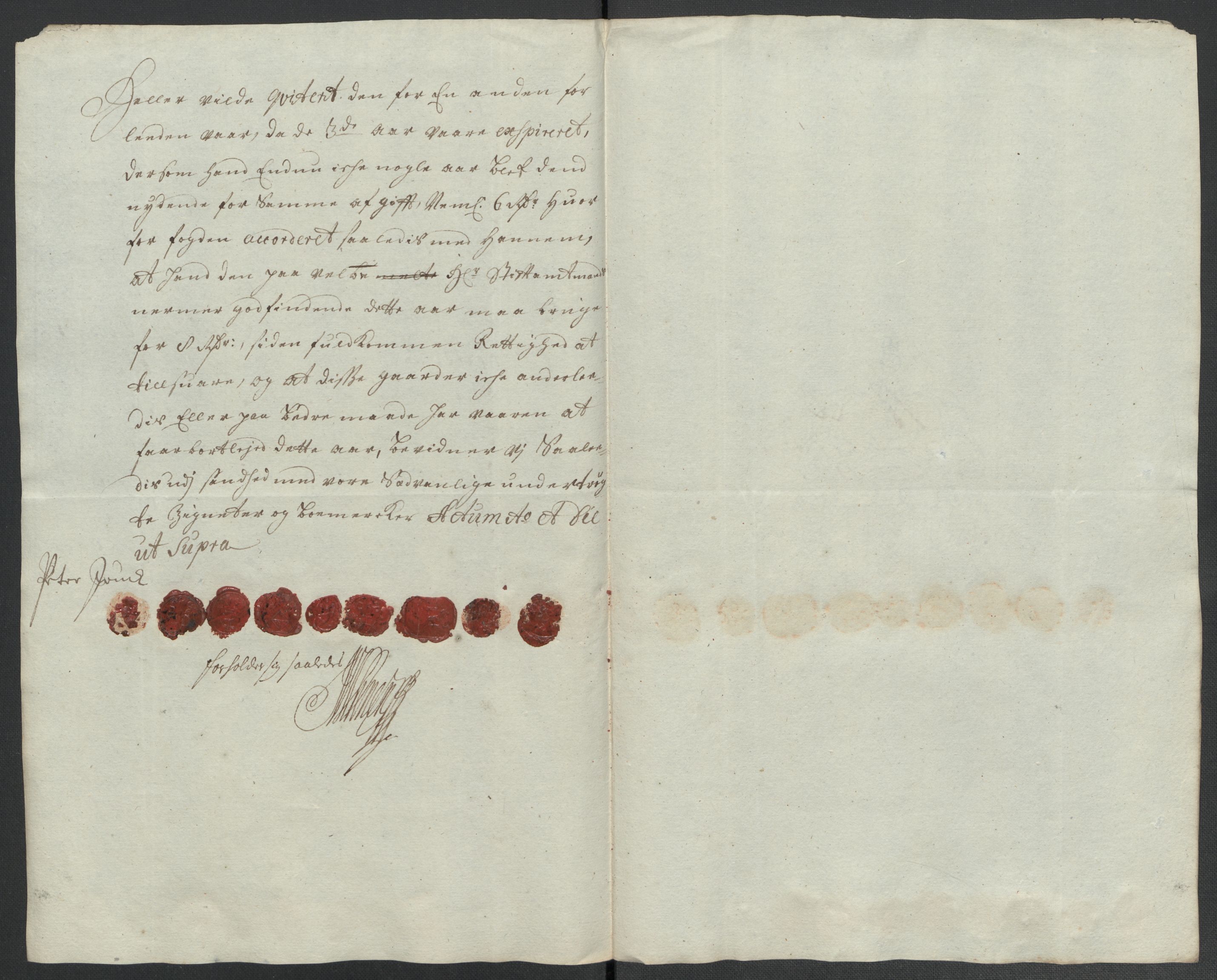 Rentekammeret inntil 1814, Reviderte regnskaper, Fogderegnskap, RA/EA-4092/R61/L4108: Fogderegnskap Strinda og Selbu, 1701-1703, s. 264