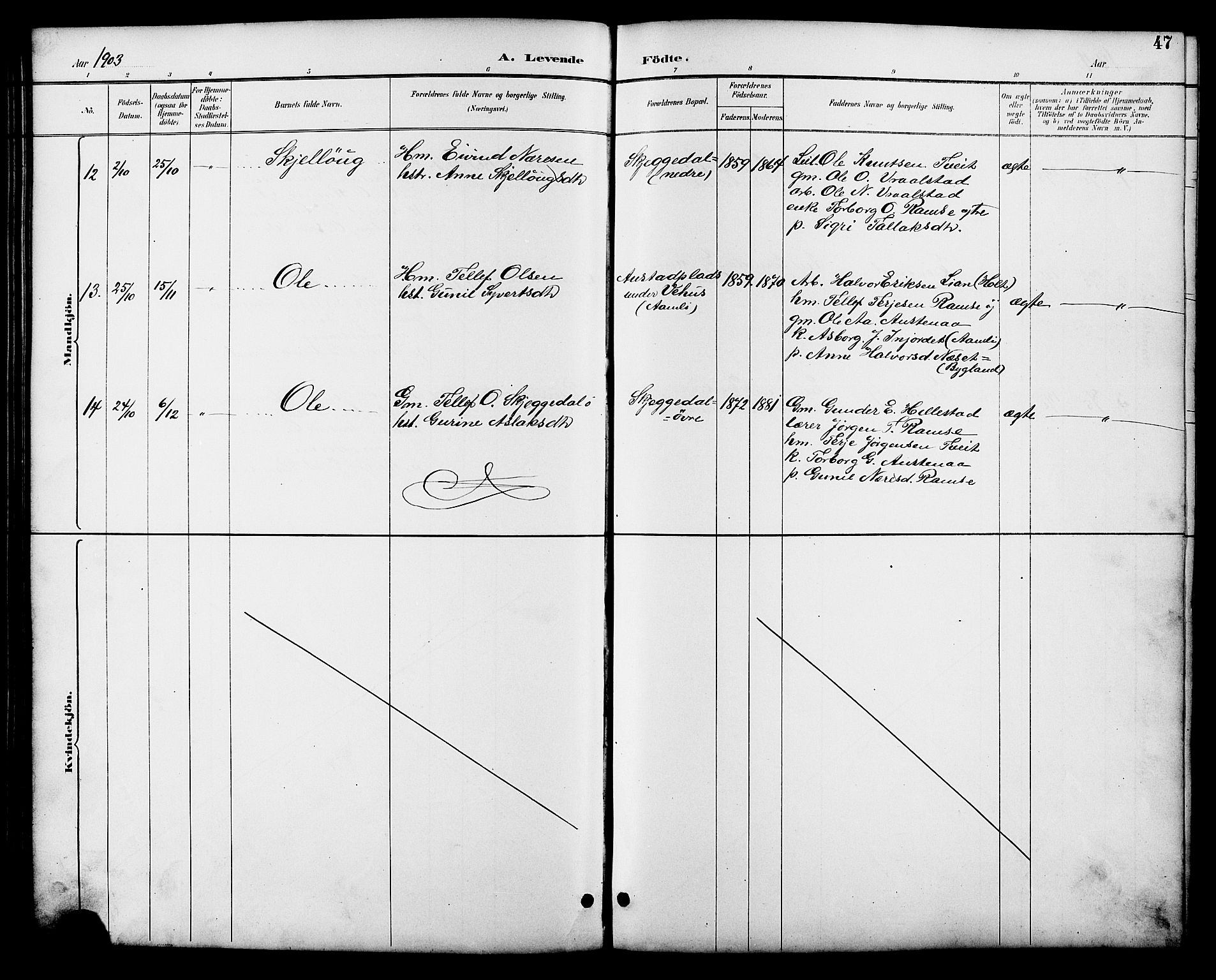 Åmli sokneprestkontor, AV/SAK-1111-0050/F/Fb/Fbb/L0002: Klokkerbok nr. B 2, 1890-1905, s. 47