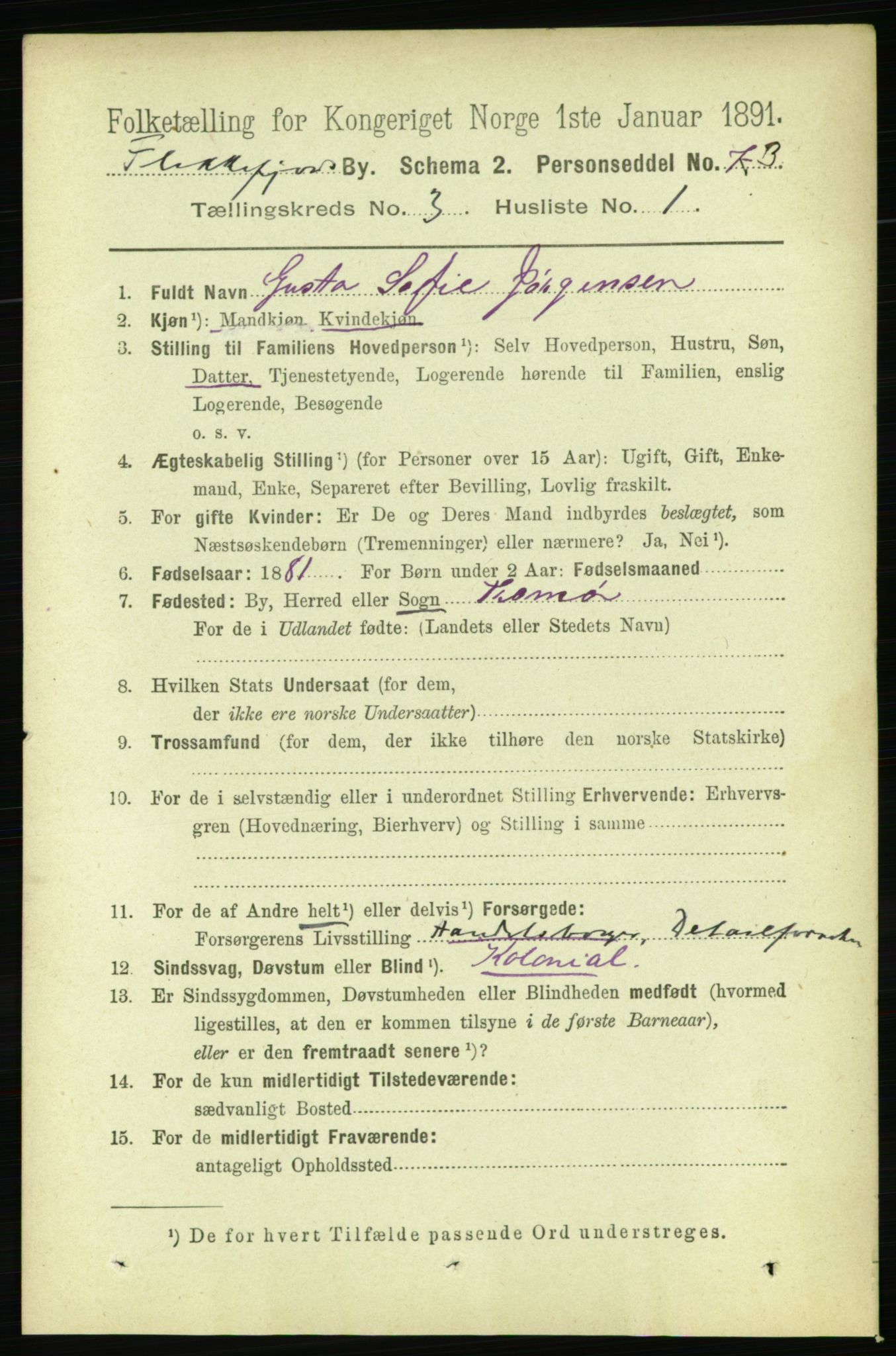 RA, Folketelling 1891 for 1004 Flekkefjord kjøpstad, 1891, s. 921