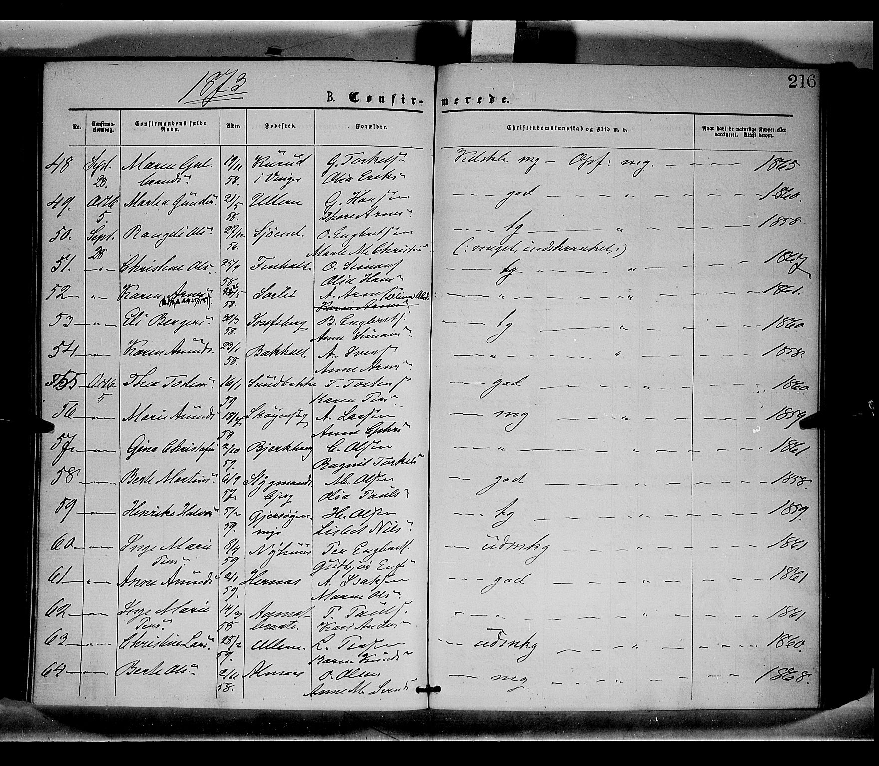 Sør-Odal prestekontor, AV/SAH-PREST-030/H/Ha/Haa/L0004: Ministerialbok nr. 4, 1870-1875, s. 216