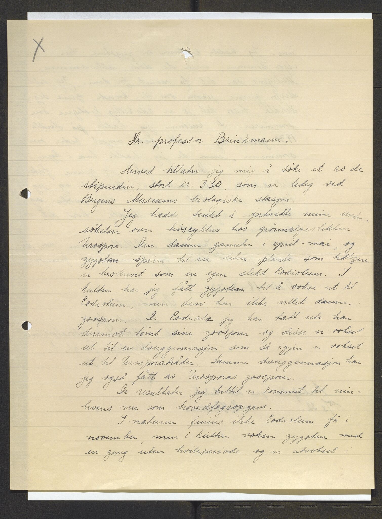Bergens Museum, AV/SAB-A-17301/13/D/L0002: Korrespondanse , 1928-1940, s. 617