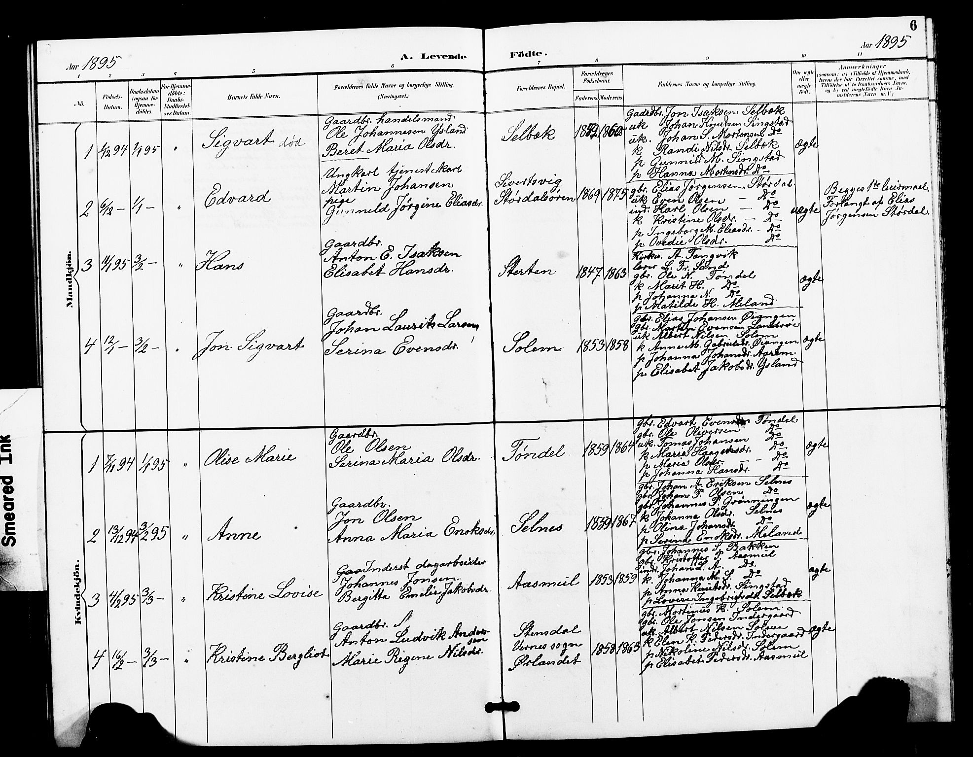 Ministerialprotokoller, klokkerbøker og fødselsregistre - Sør-Trøndelag, SAT/A-1456/663/L0762: Klokkerbok nr. 663C02, 1894-1899, s. 6