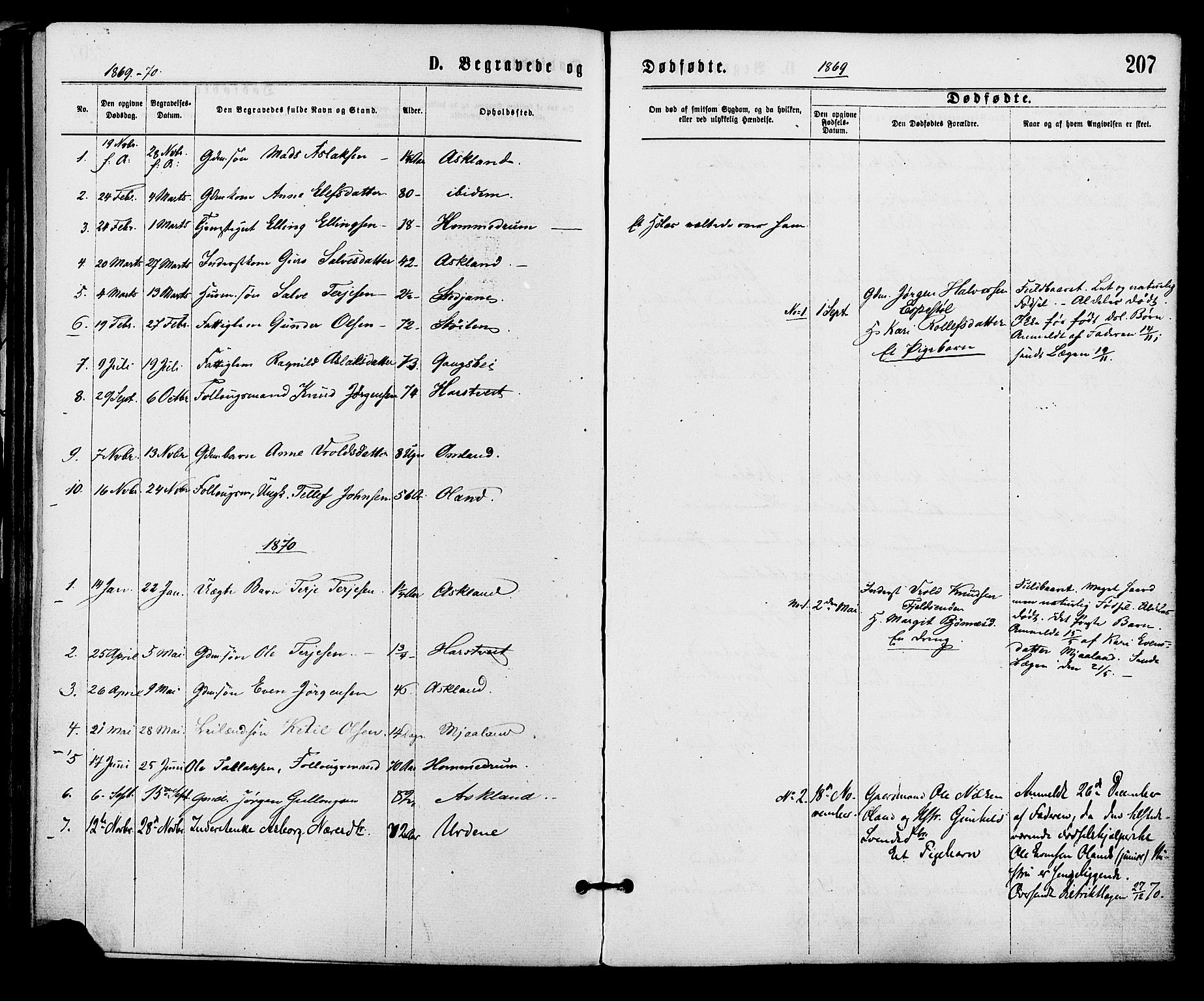 Åmli sokneprestkontor, AV/SAK-1111-0050/F/Fa/Fac/L0009: Ministerialbok nr. A 9 /2, 1869-1884, s. 207