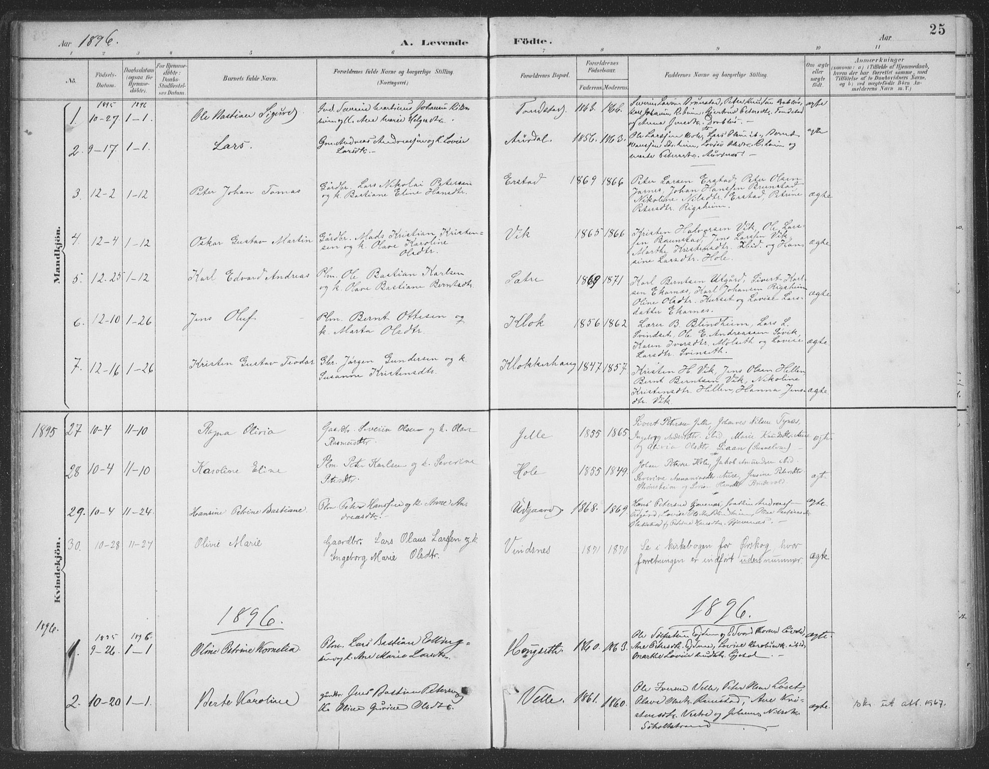 Ministerialprotokoller, klokkerbøker og fødselsregistre - Møre og Romsdal, SAT/A-1454/523/L0335: Ministerialbok nr. 523A02, 1891-1911, s. 25