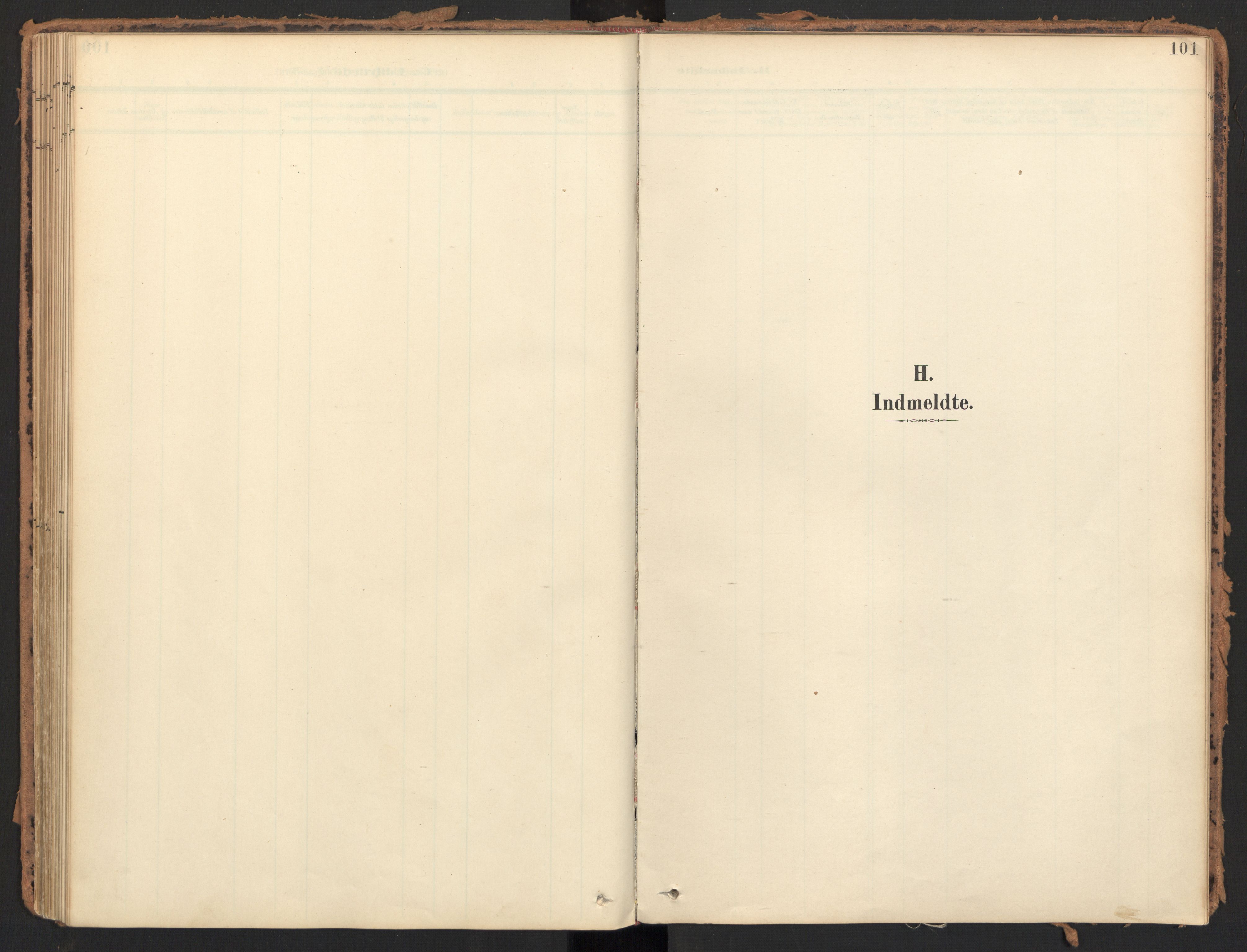 Ministerialprotokoller, klokkerbøker og fødselsregistre - Møre og Romsdal, SAT/A-1454/595/L1048: Ministerialbok nr. 595A10, 1900-1917, s. 101