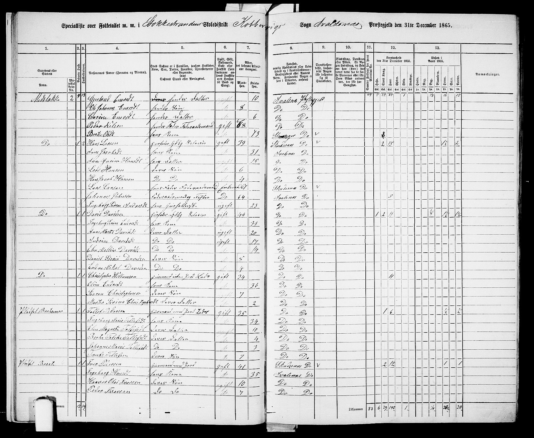 RA, Folketelling 1865 for 1147P Avaldsnes prestegjeld, 1865, s. 16