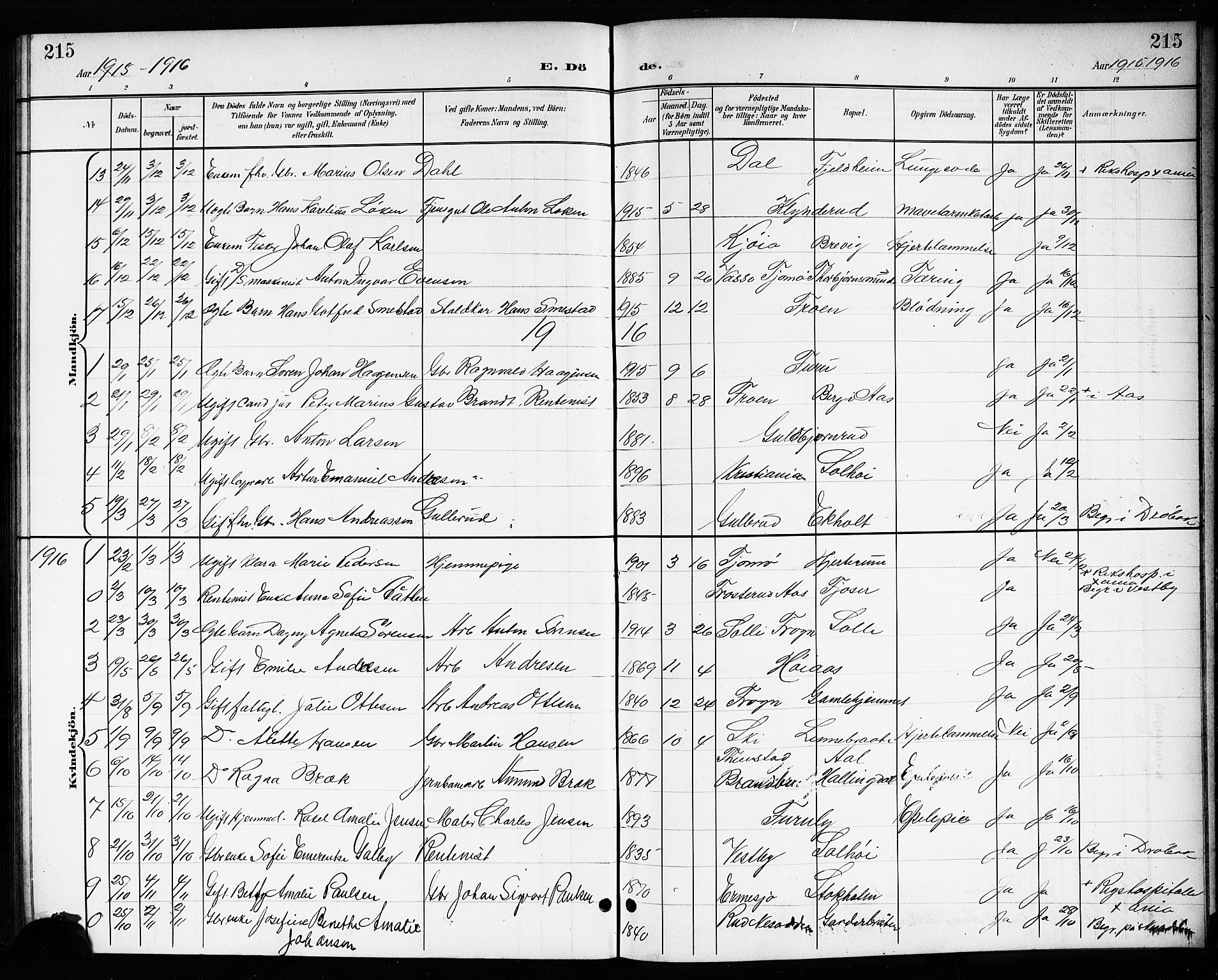 Drøbak prestekontor Kirkebøker, AV/SAO-A-10142a/G/Gb/L0001: Klokkerbok nr. II 1, 1901-1919, s. 215