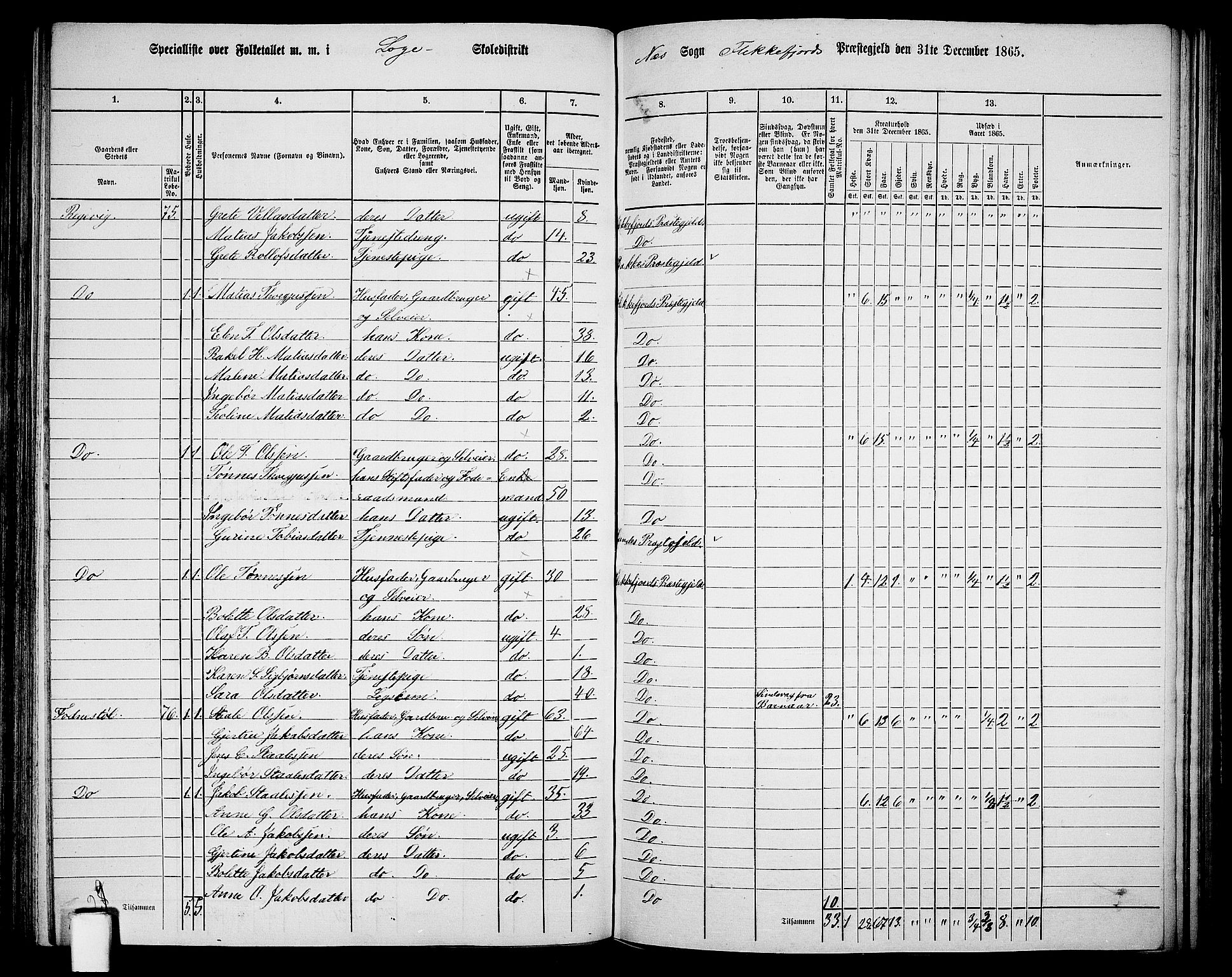 RA, Folketelling 1865 for 1042L Flekkefjord prestegjeld, Nes sokn og Hidra sokn, 1865, s. 127