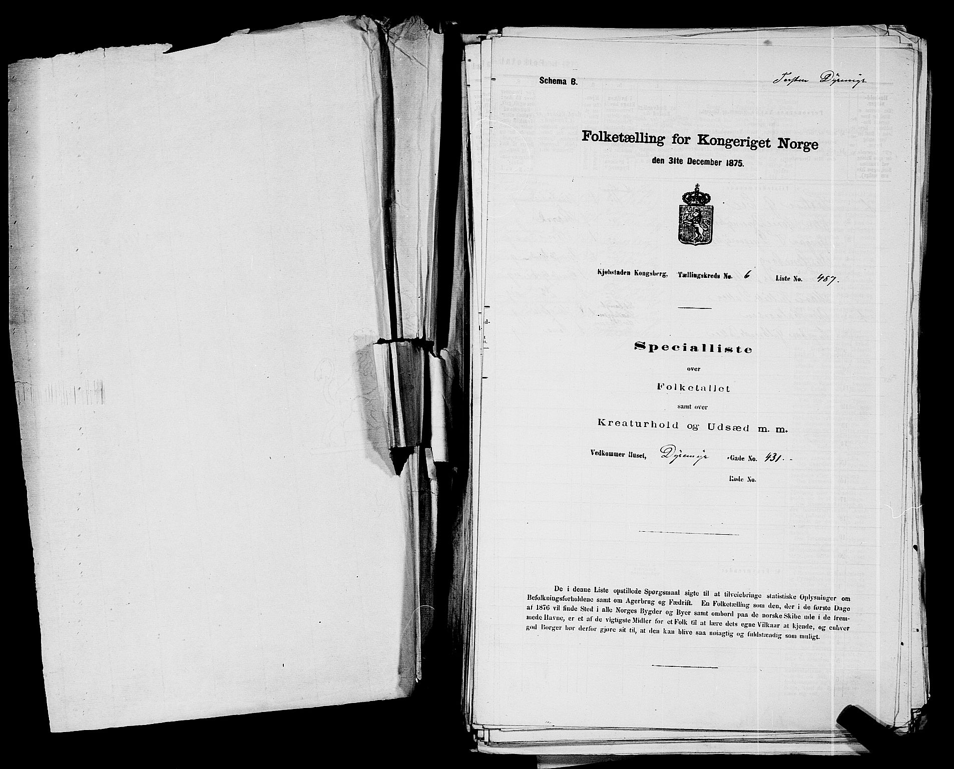 SAKO, Folketelling 1875 for 0604B Kongsberg prestegjeld, Kongsberg kjøpstad, 1875, s. 974