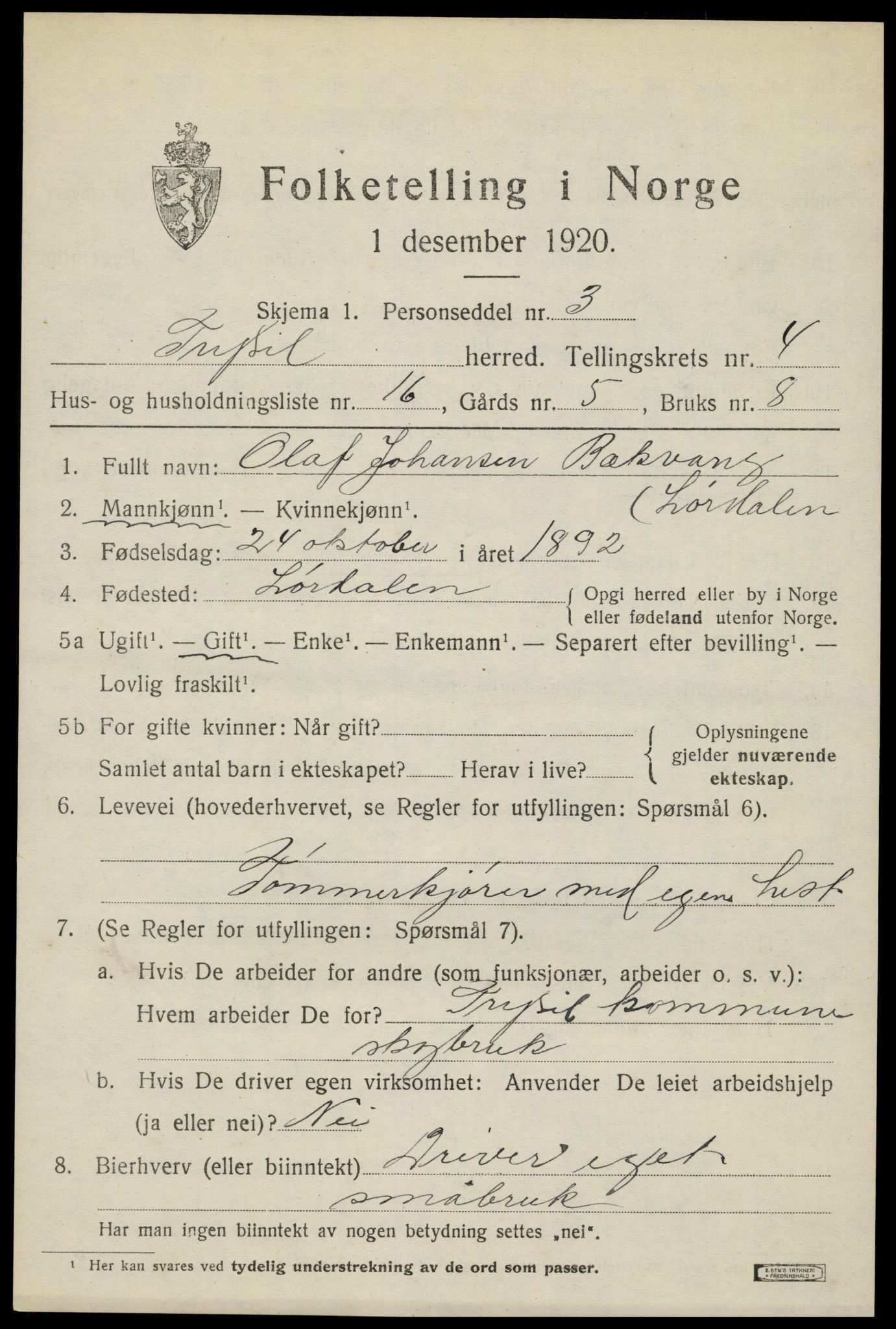SAH, Folketelling 1920 for 0428 Trysil herred, 1920, s. 4295