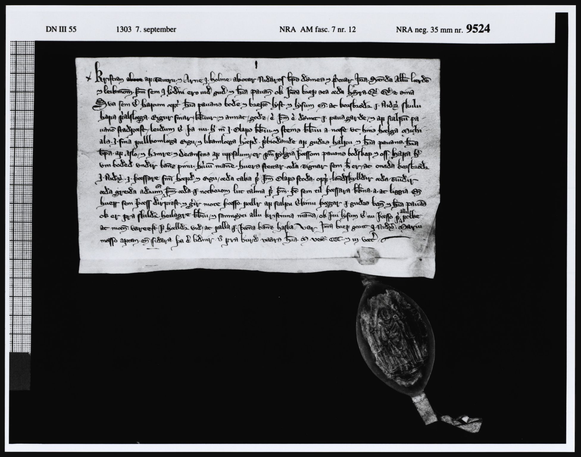 Riksarkivets diplomsamling, AV/RA-EA-5965/F05/L0023: NRA AM fasc. 7 nr. 10-12, 1303, s. 16