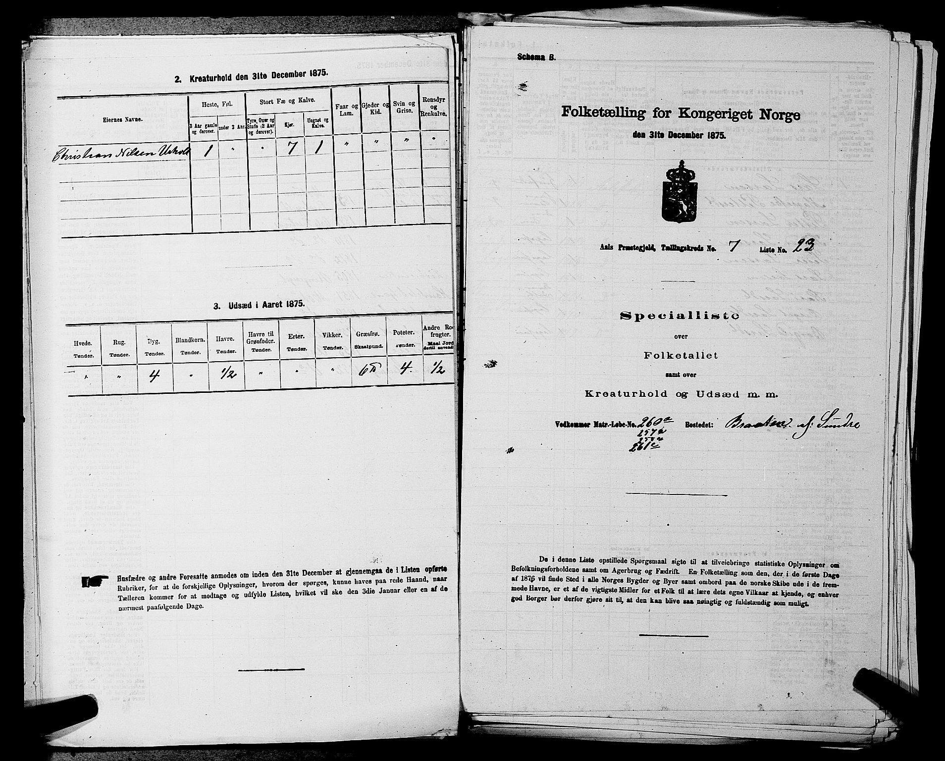 SAKO, Folketelling 1875 for 0619P Ål prestegjeld, 1875, s. 880