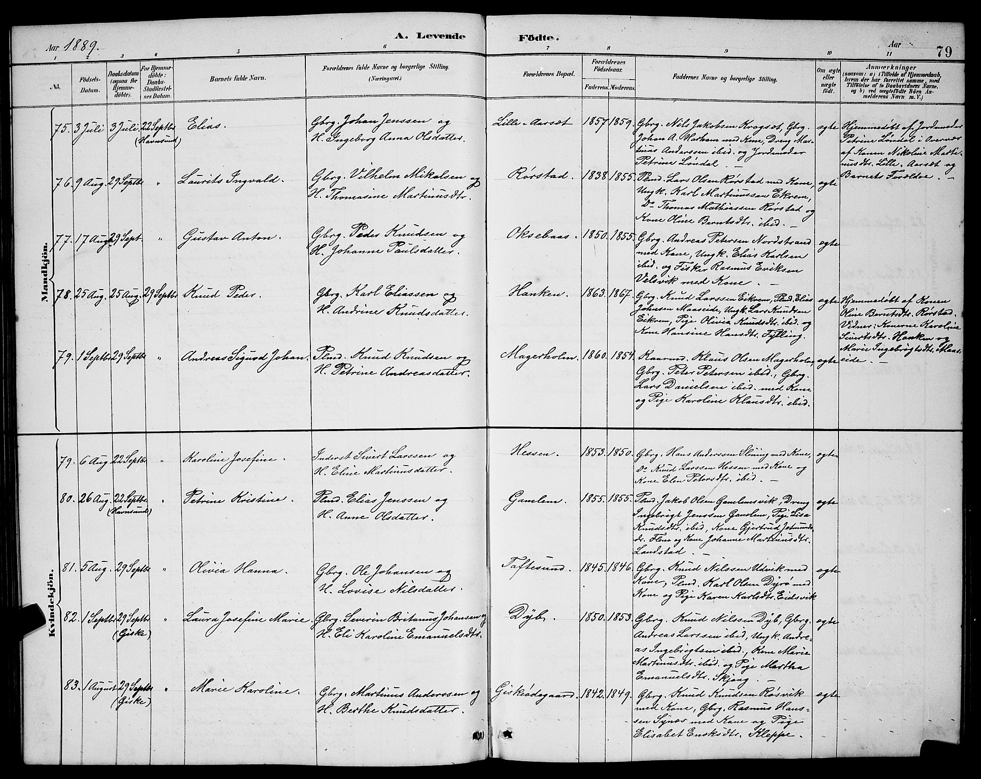 Ministerialprotokoller, klokkerbøker og fødselsregistre - Møre og Romsdal, AV/SAT-A-1454/528/L0431: Klokkerbok nr. 528C12, 1885-1898, s. 79