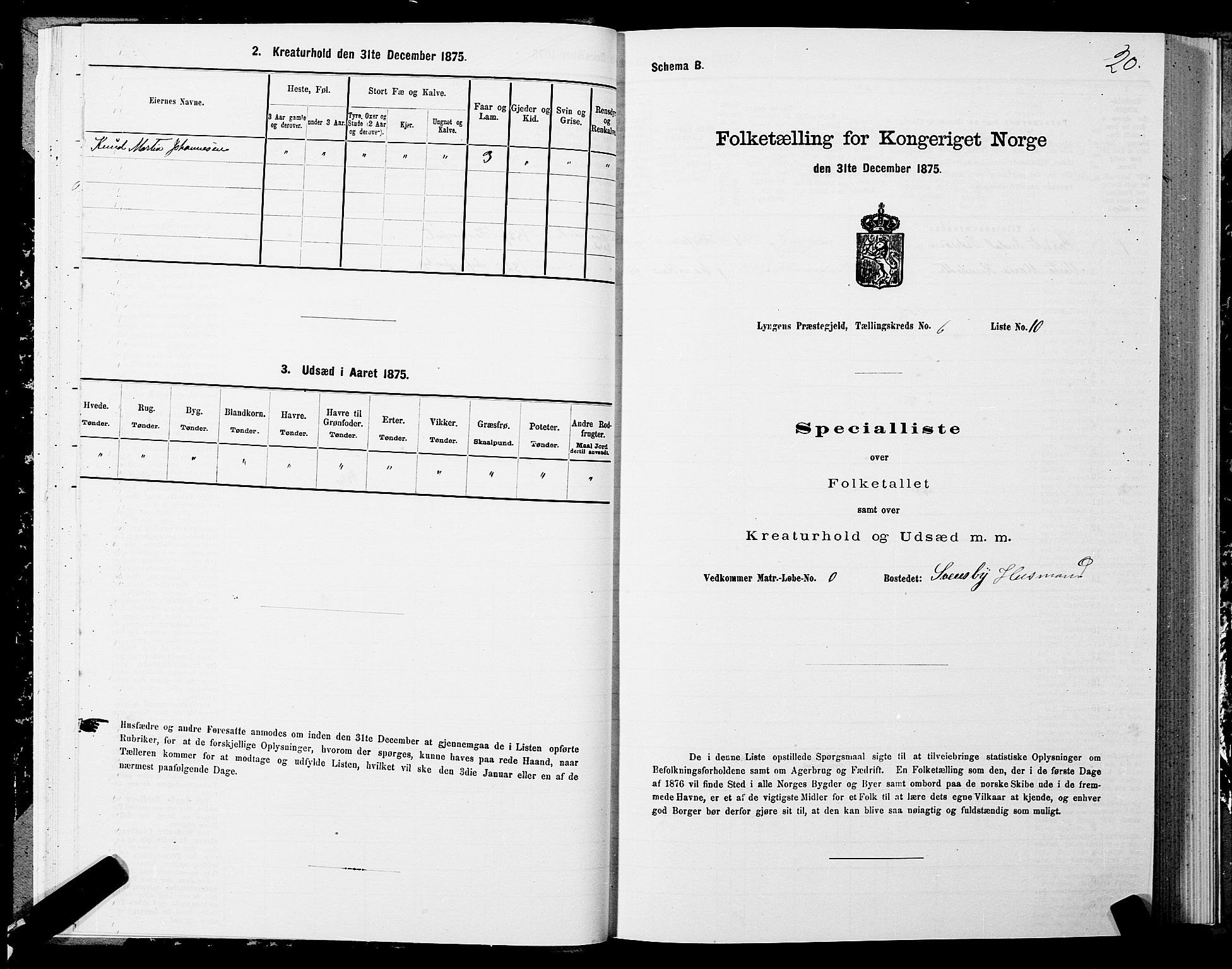 SATØ, Folketelling 1875 for 1938P Lyngen prestegjeld, 1875, s. 6019