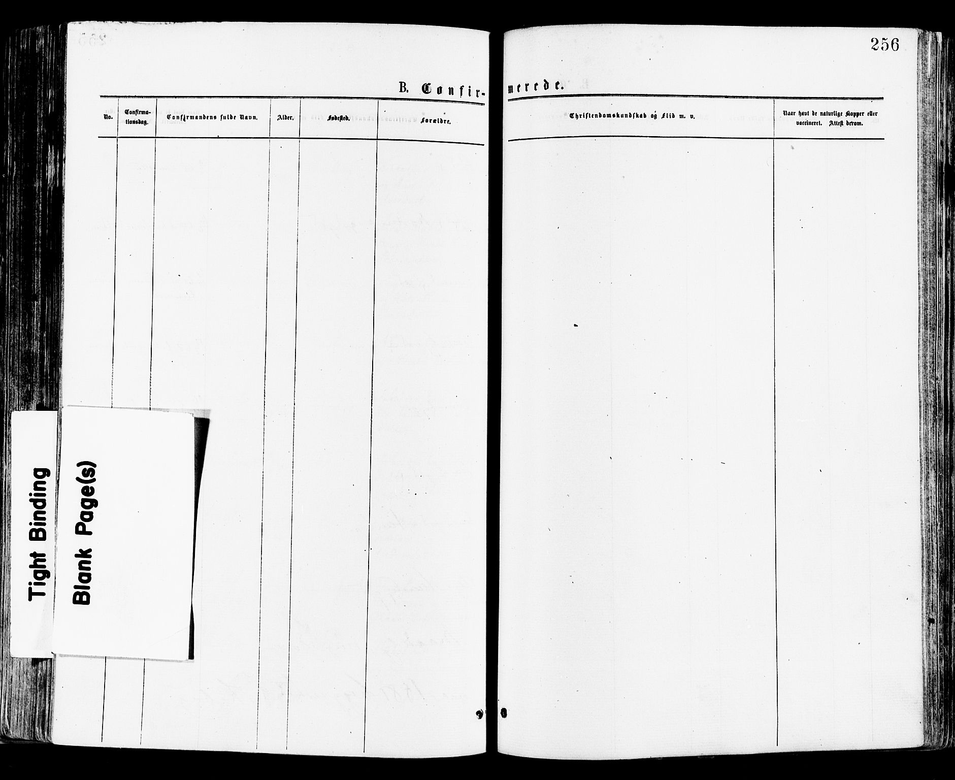 Tønsberg kirkebøker, SAKO/A-330/F/Fa/L0010: Ministerialbok nr. I 10, 1874-1880, s. 256