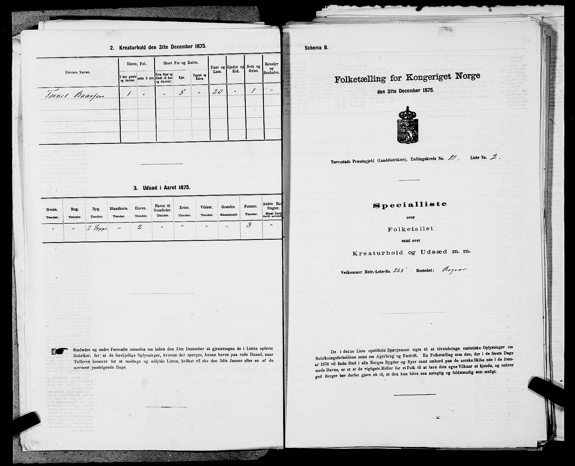 SAST, Folketelling 1875 for 1152L Torvastad prestegjeld, Torvastad sokn, Skåre sokn og Utsira sokn, 1875, s. 1249