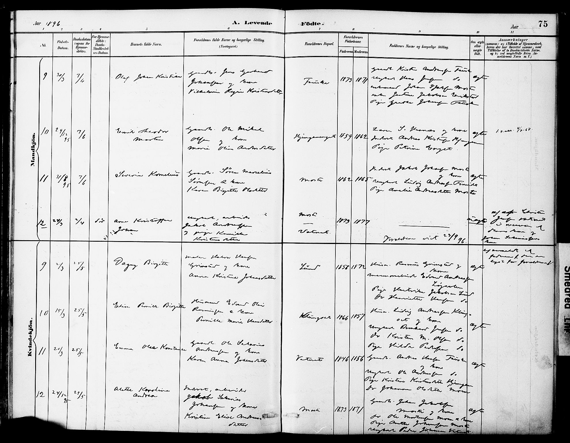 Ministerialprotokoller, klokkerbøker og fødselsregistre - Nordland, SAT/A-1459/849/L0690: Ministerialbok nr. 849A02, 1890-1897, s. 75