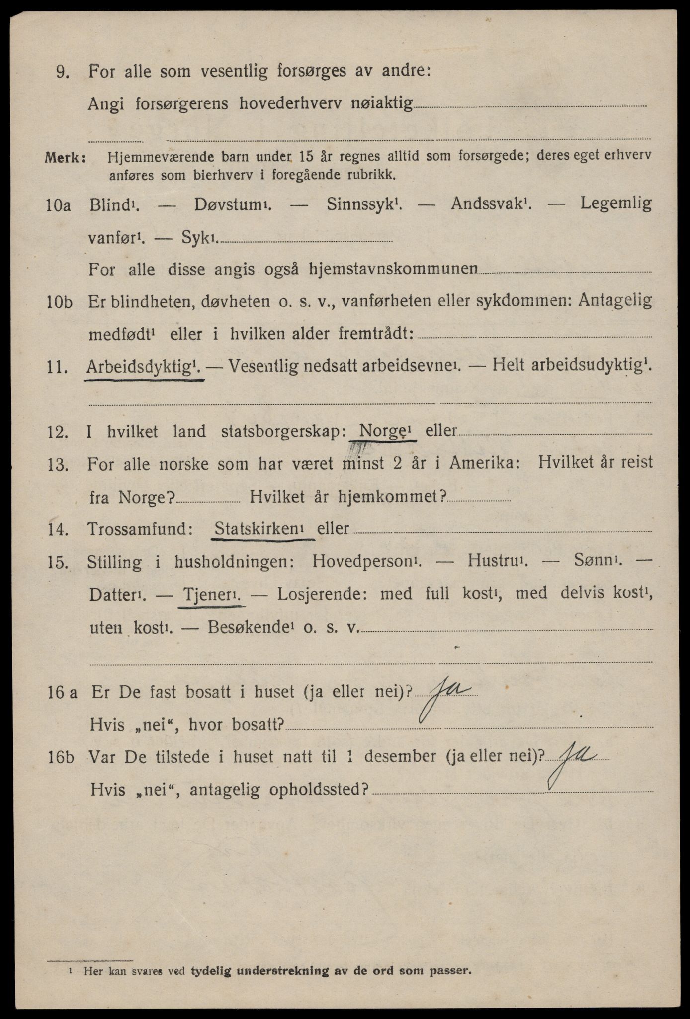 SAKO, Folketelling 1920 for 0830 Nissedal herred, 1920, s. 1994